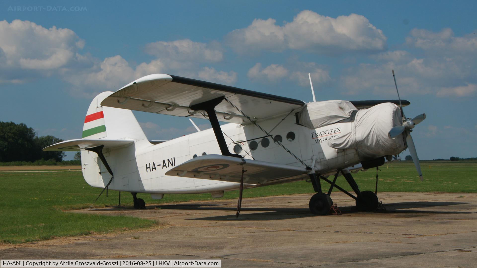 HA-ANI, 1972 Antonov An-2P C/N 1G132-55, Kaposújlak Airport, Hungary