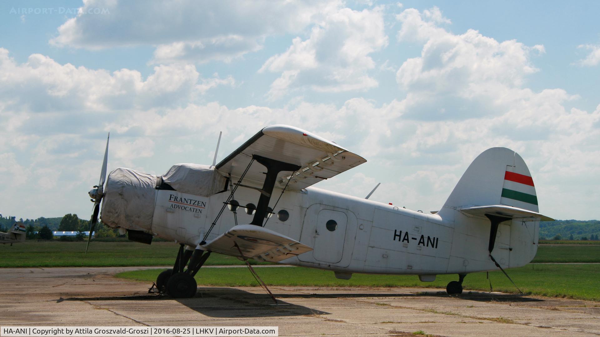 HA-ANI, 1972 Antonov An-2P C/N 1G132-55, Kaposújlak Airport, Hungary