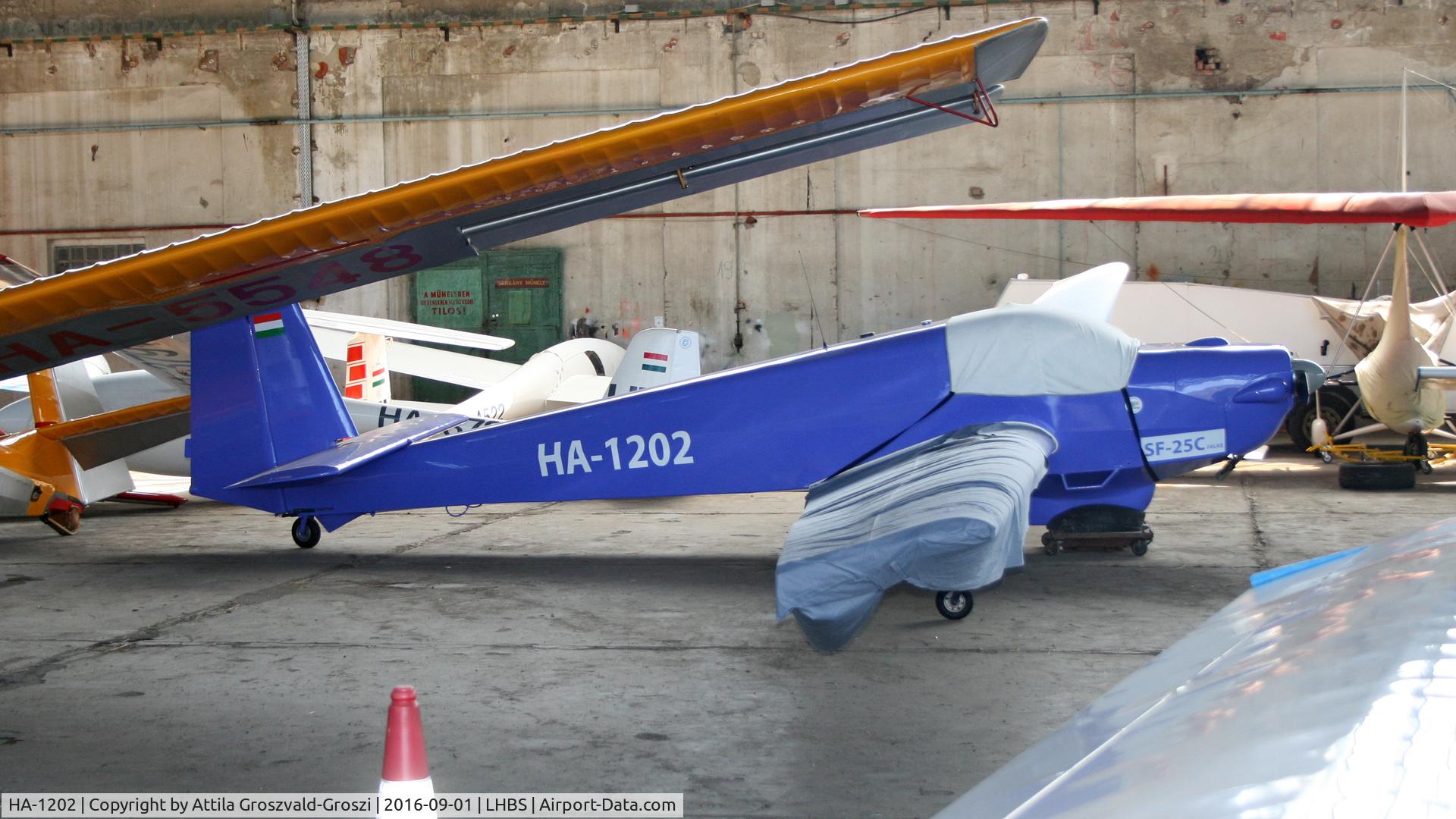 HA-1202, 2000 Scheibe SF-25C Falke C/N 4434, Budaörs Airport, Hungary