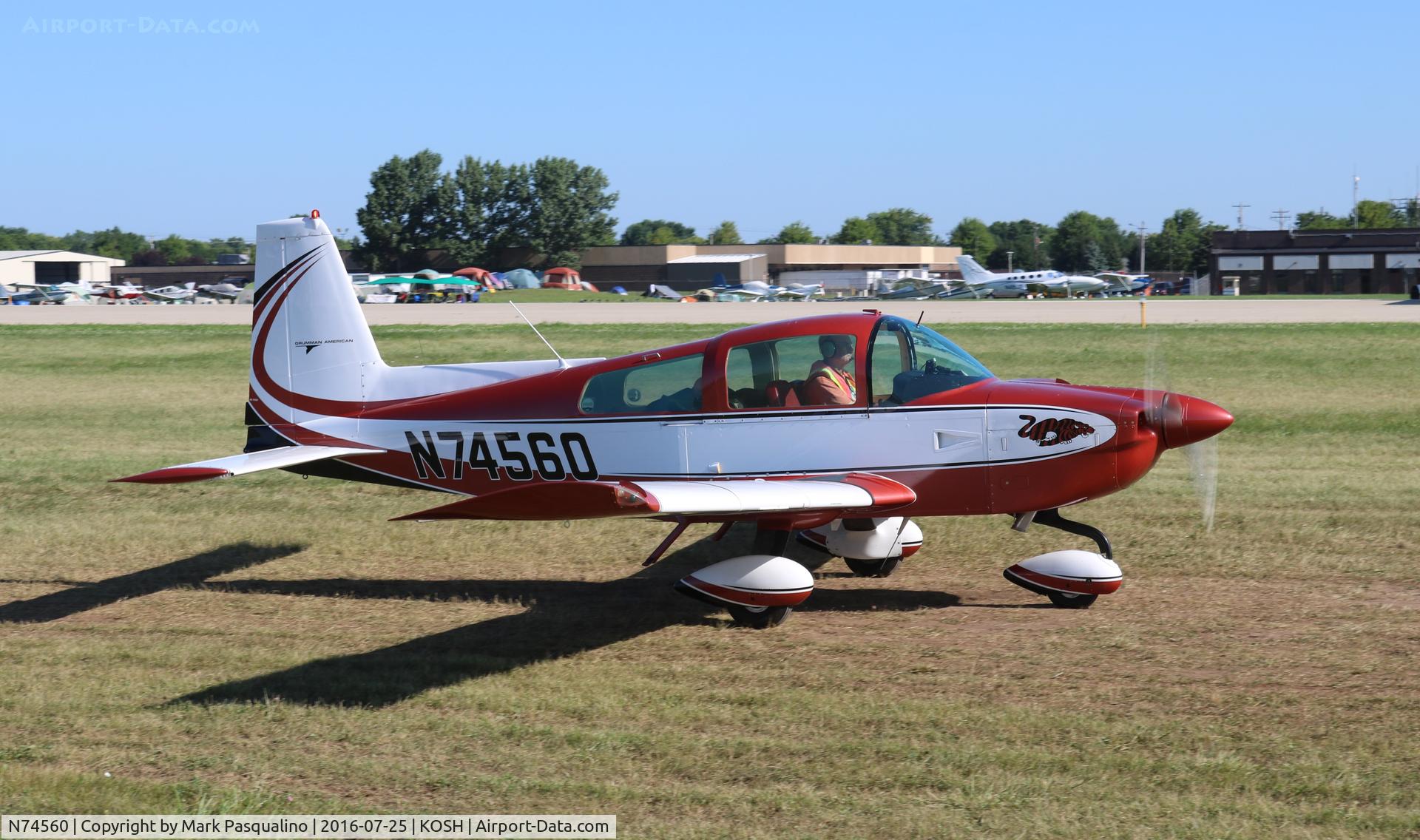 N74560, 1976 Grumman American AA-5B Tiger C/N AA5B-0251, AA-5B