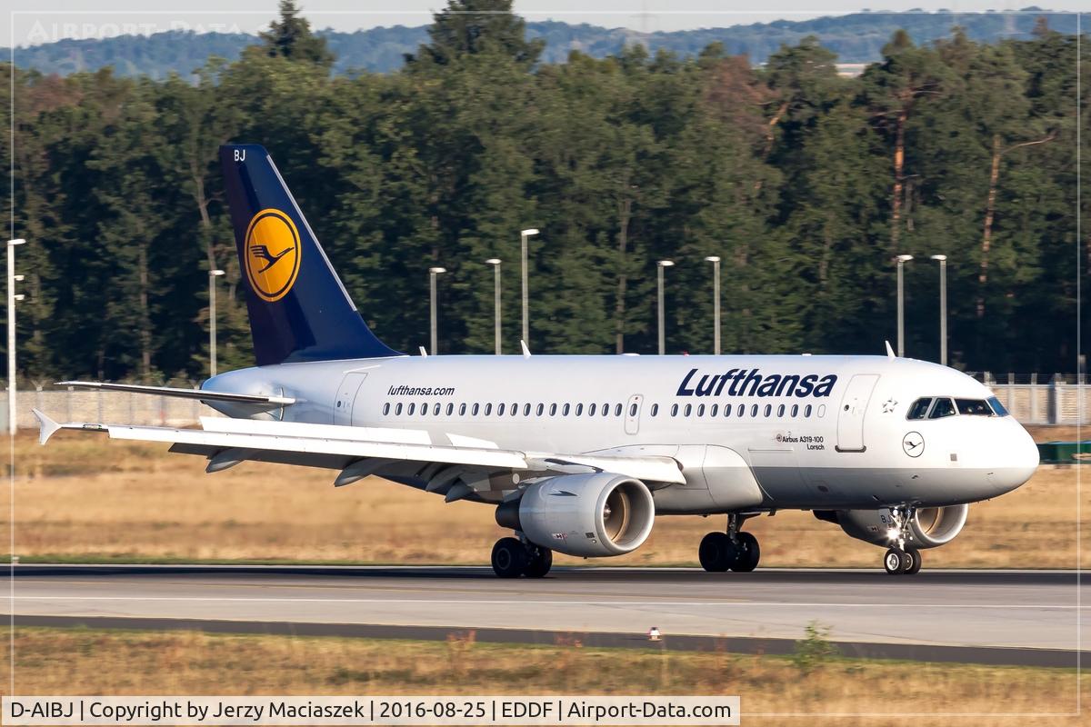 D-AIBJ, 2012 Airbus A319-112 C/N 5293, Airbus A319-112