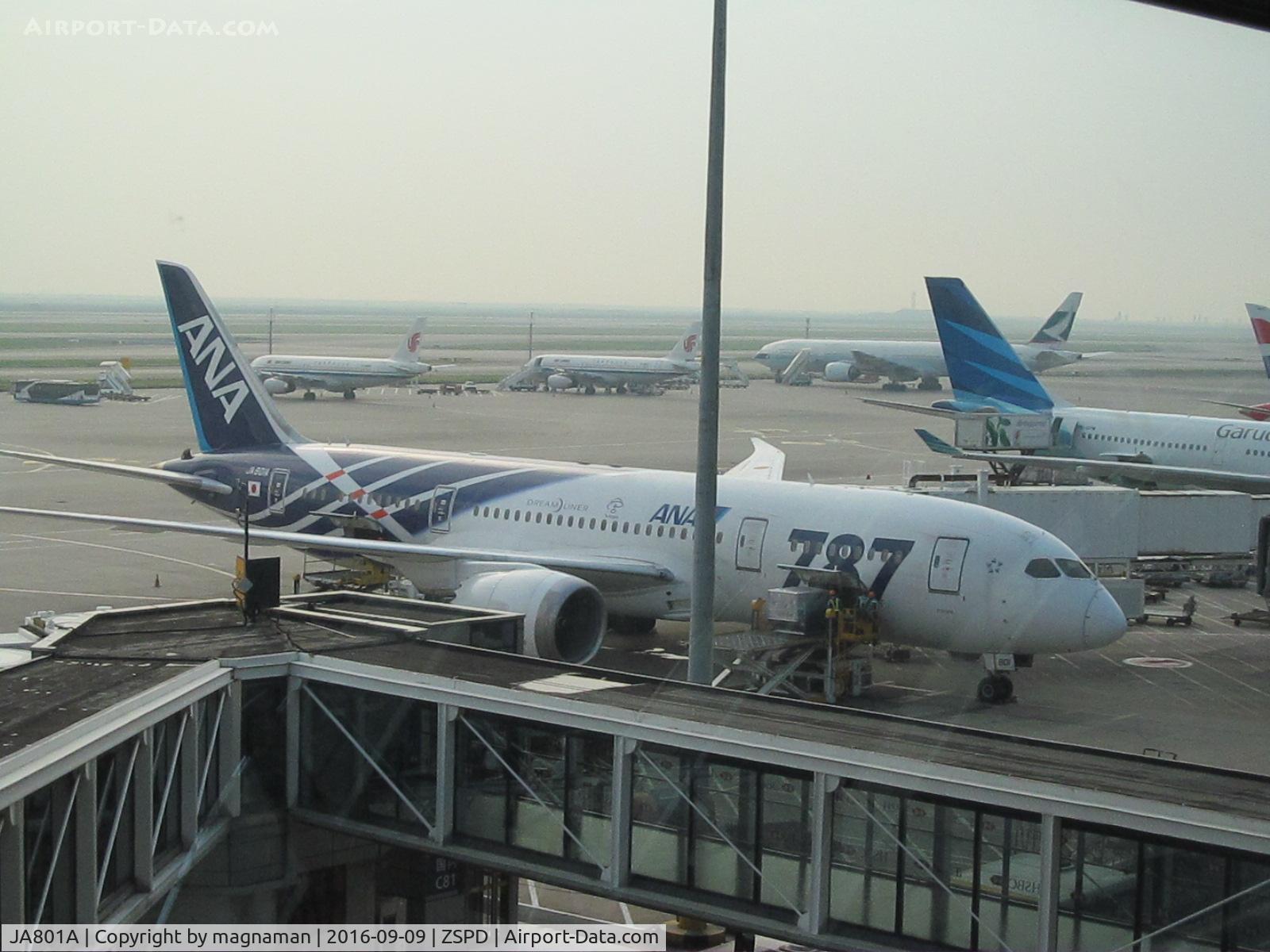 JA801A, 2011 Boeing 787-8 Dreamliner C/N 34488, on stand