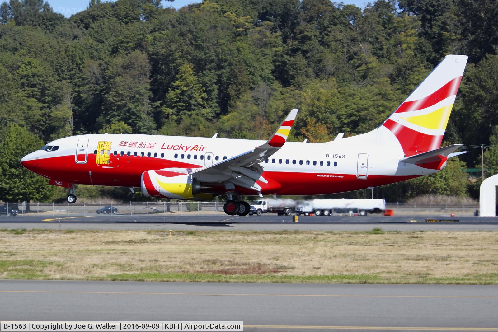 B-1563, 2016 Boeing 737-74P C/N 39221, Allocated from parent company Hainan, this new 737-74P, is seen in the new livery of Lucky Air.