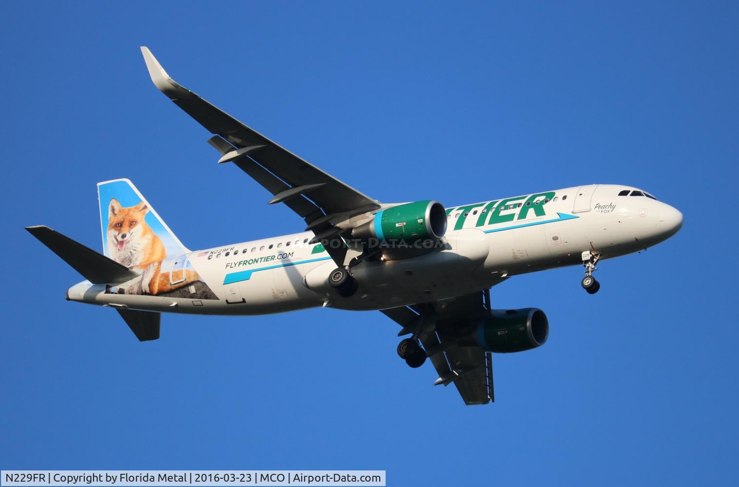 N229FR, 2013 Airbus A320-214 C/N 5581, Peachy the Fox