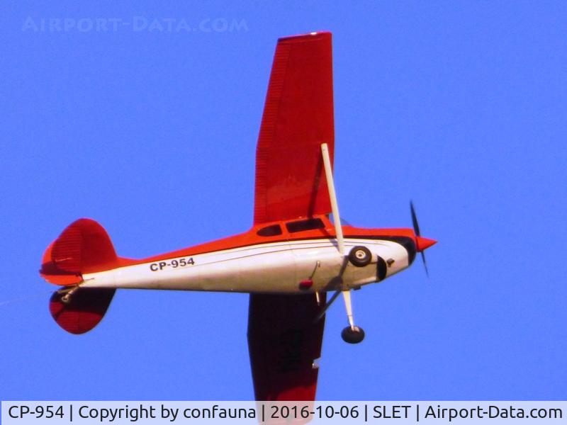 CP-954, Cessna 170B C/N 27071, Flying over Santa Cruz city with sunset light
