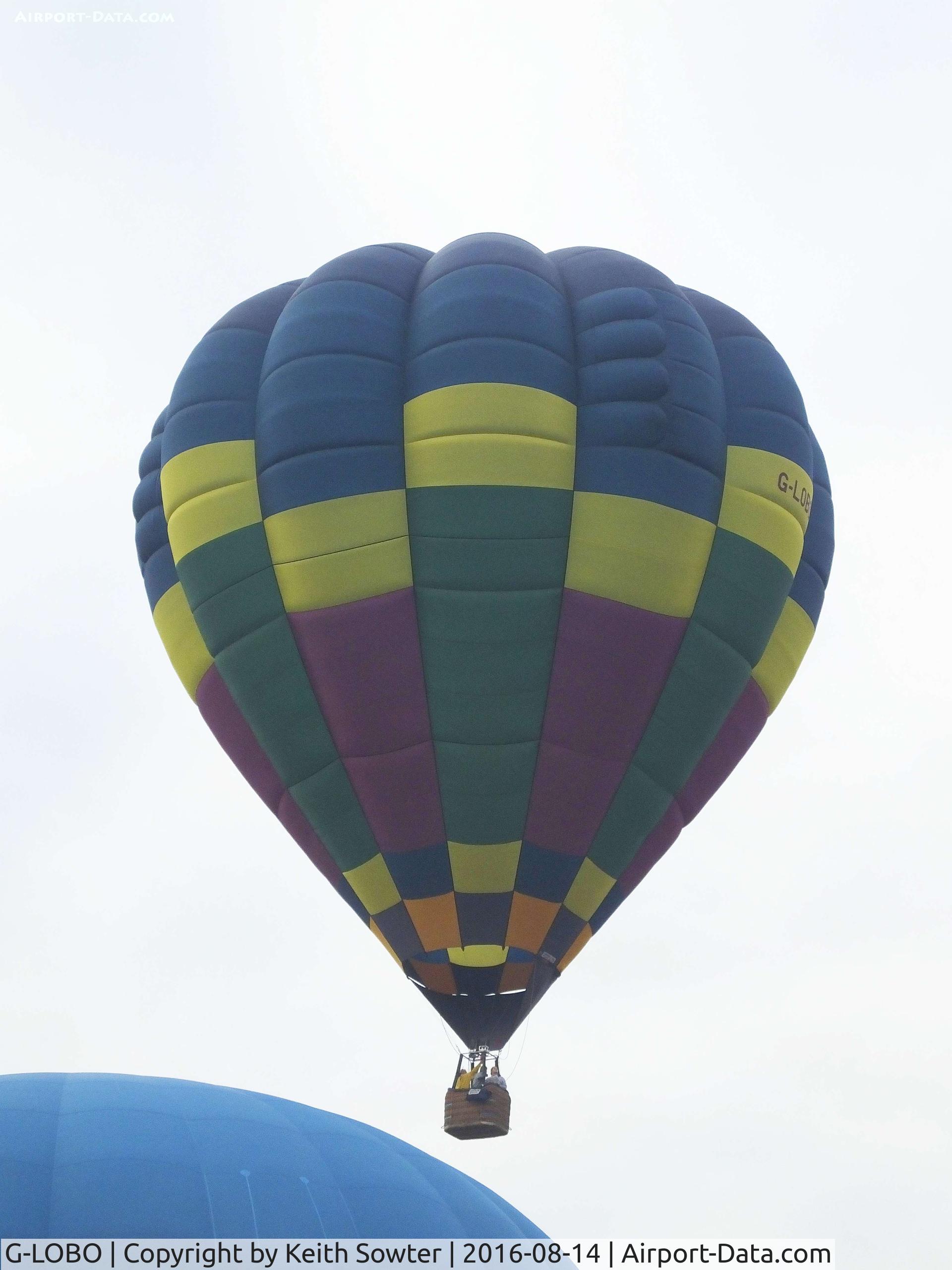 G-LOBO, 1995 Cameron Balloons O-120 C/N 3389, Bristol Balloon Fiesta