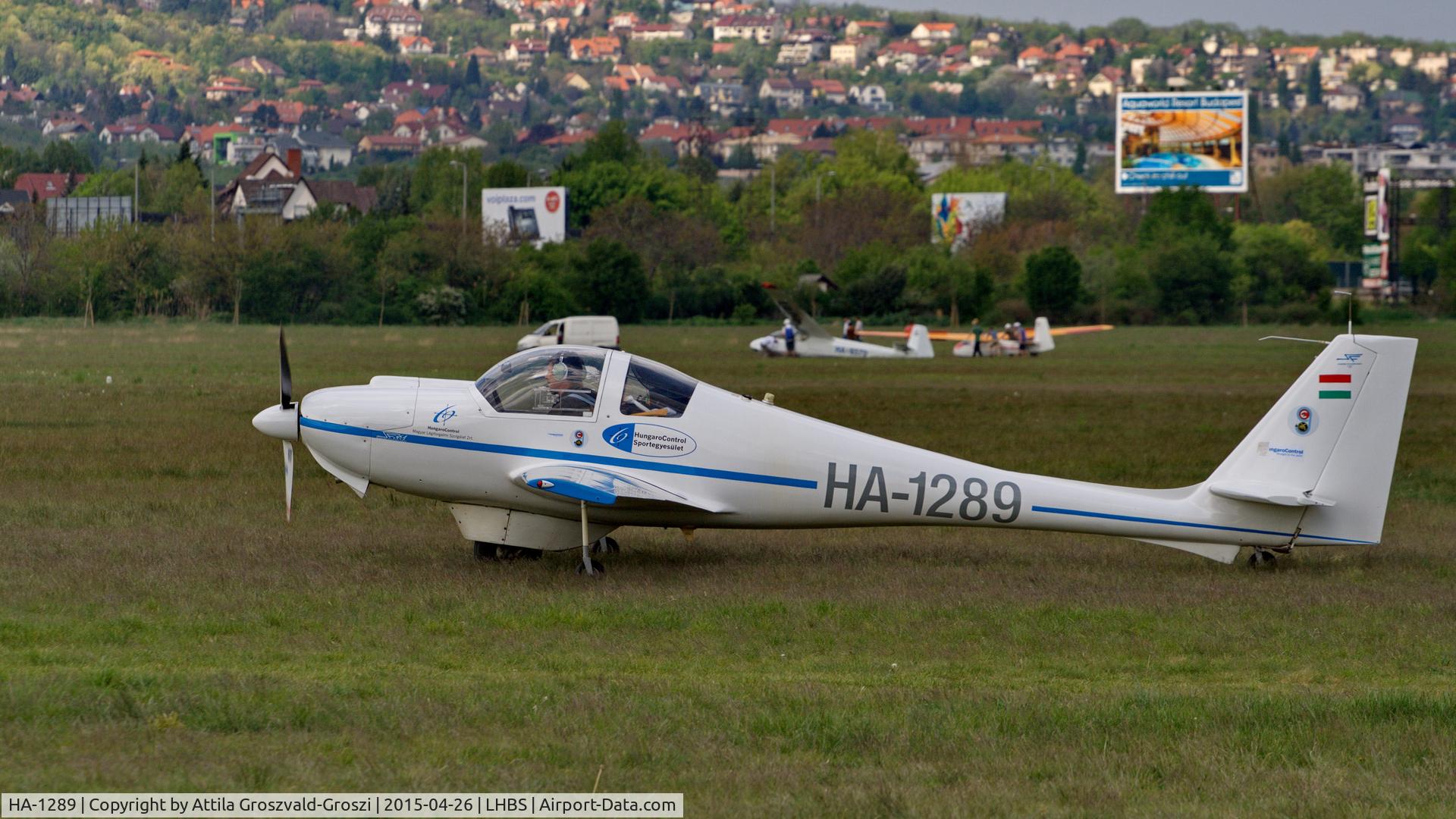 HA-1289, 1981 Scheibe SF-36A Dimona C/N 4101, Budaörs Airport, Hungary. Gold Timer Fundanation airshow