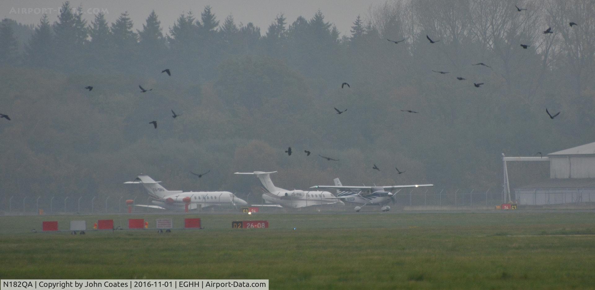 N182QA, 2006 Cessna T182T Turbo Skylane C/N T18208605, Distant shot of N182QA departing through thick mist...and a flock of rooks