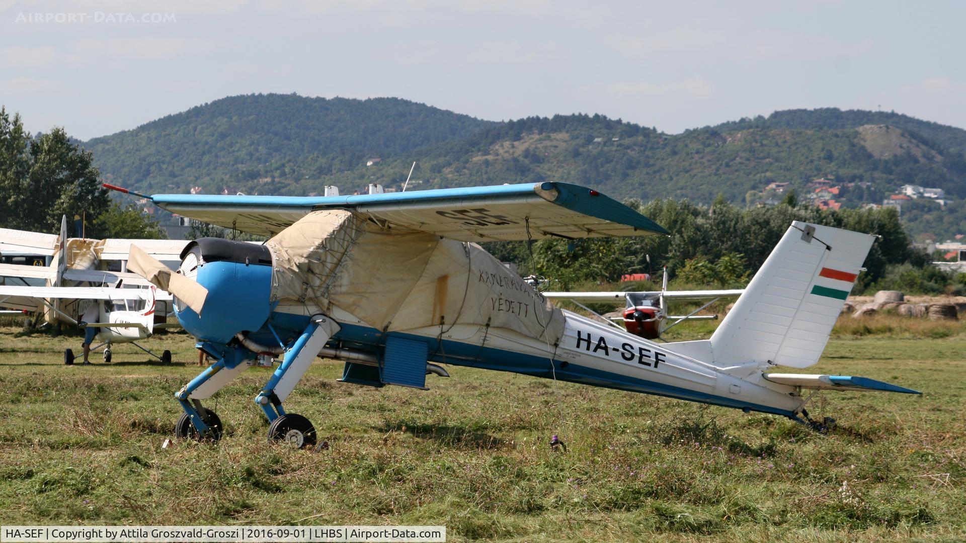 HA-SEF, 1970 PZL-Okecie PZL-104 Wilga C/N 59064, Budaörs Airport, Hungary
