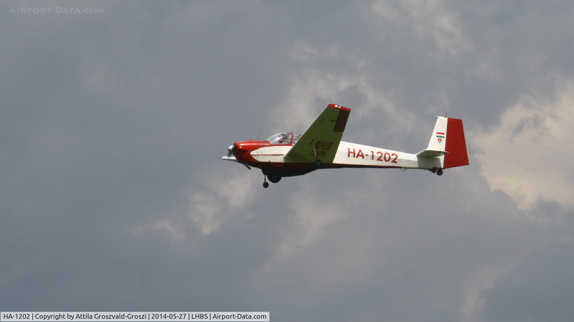 HA-1202, 2000 Scheibe SF-25C Falke C/N 4434, Budaörs Airport, Hungary