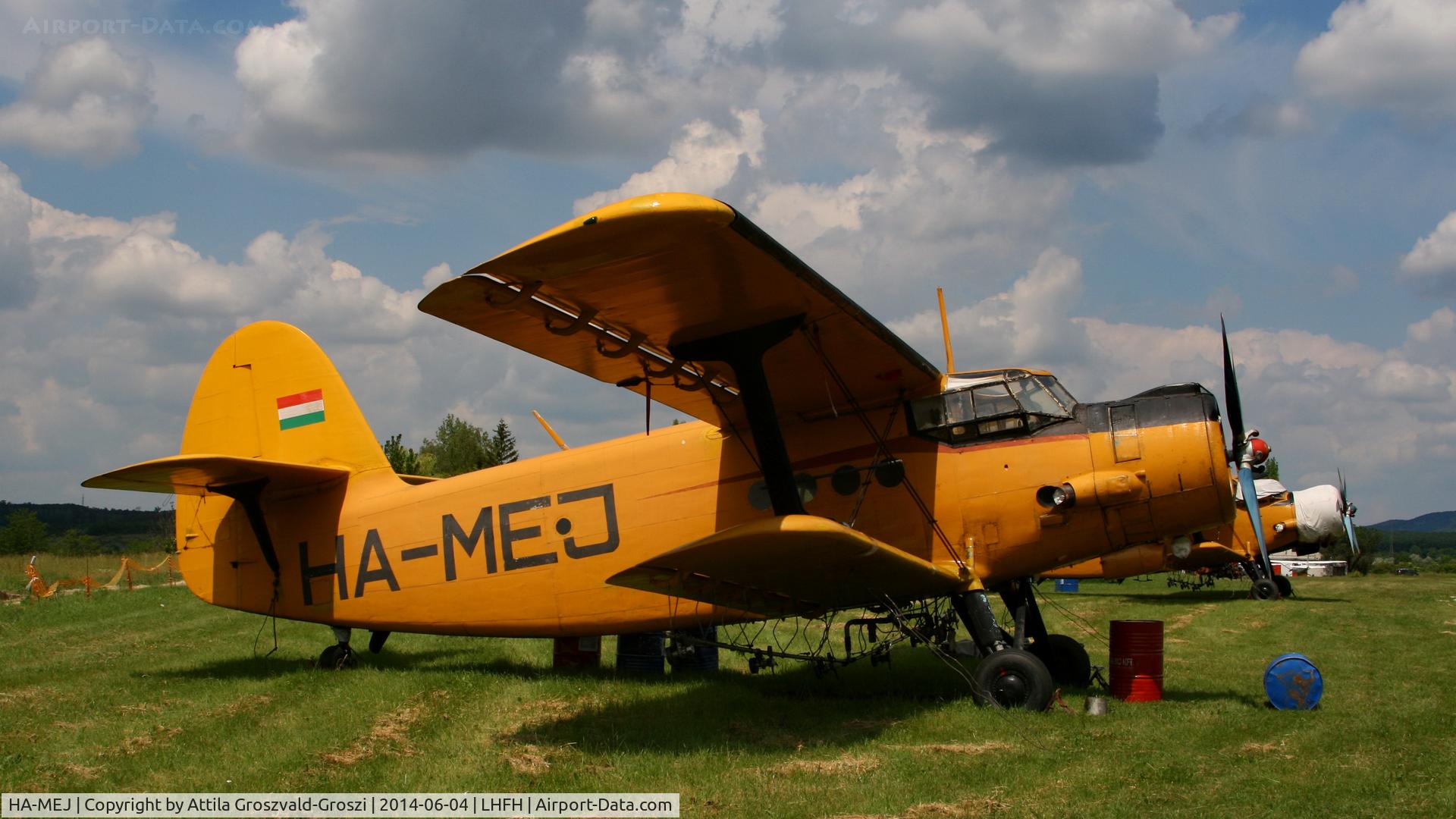 HA-MEJ, Antonov An-2R C/N 1G190-19, Farkashegy Airfield, Hungary