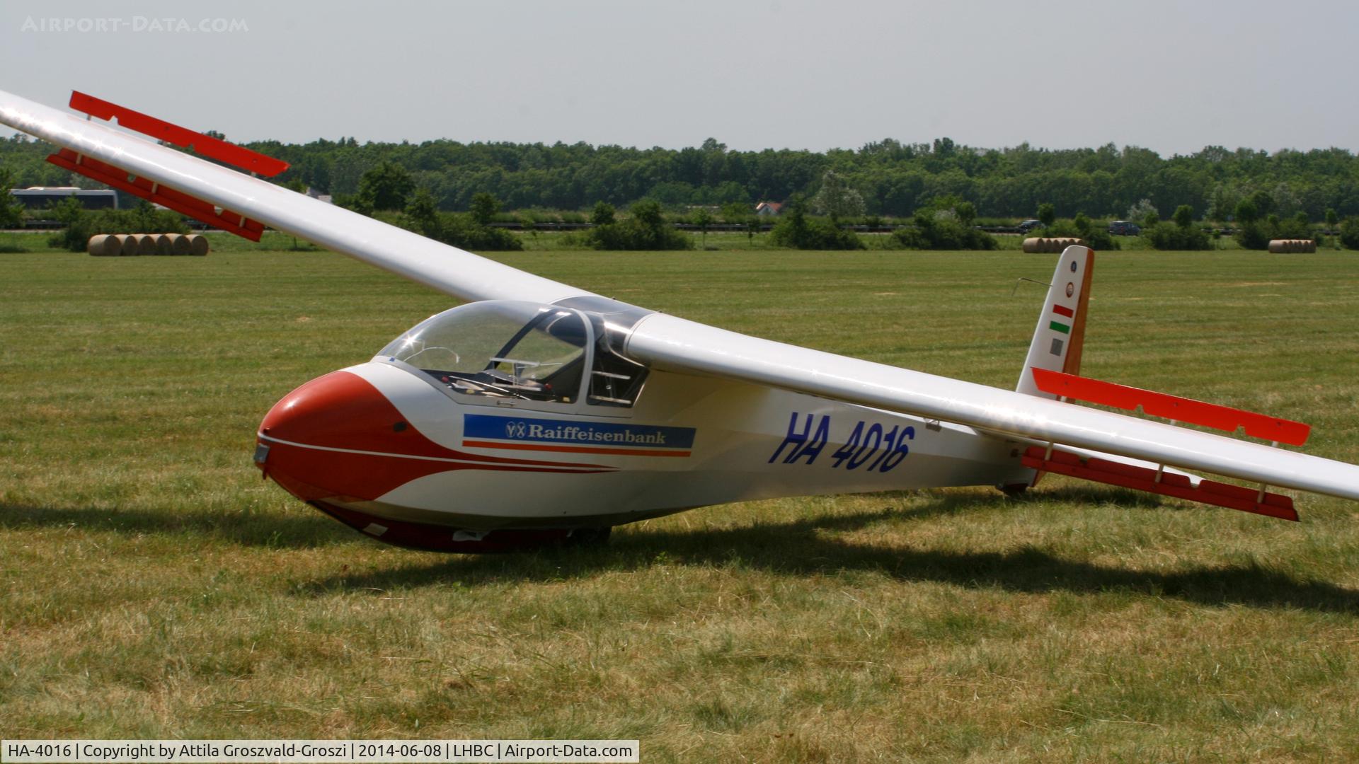 HA-4016, 1958 Schleicher Ka-7 Rhonadler C/N 367, Békéscsaba Airport, Hungary