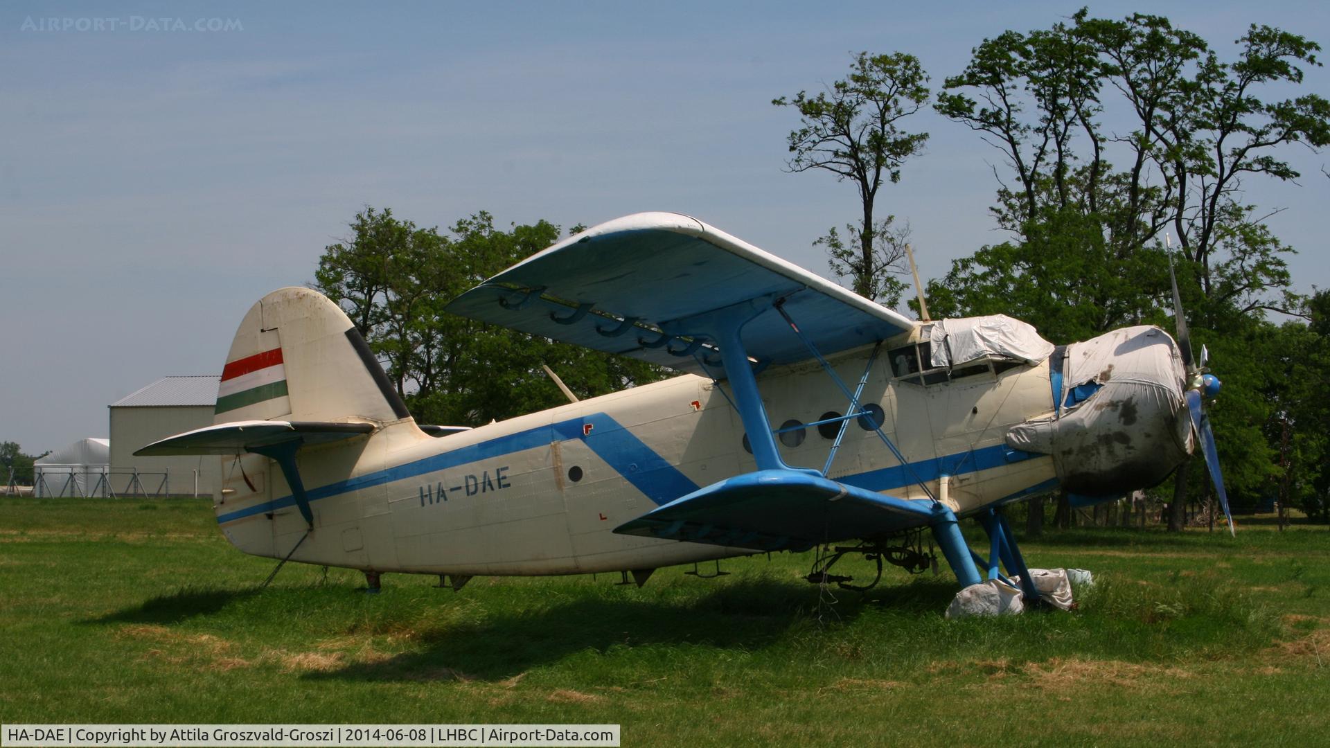 HA-DAE, 1975 PZL-Mielec An-2R C/N 1G164-06, Békéscsaba Airport, Hungary