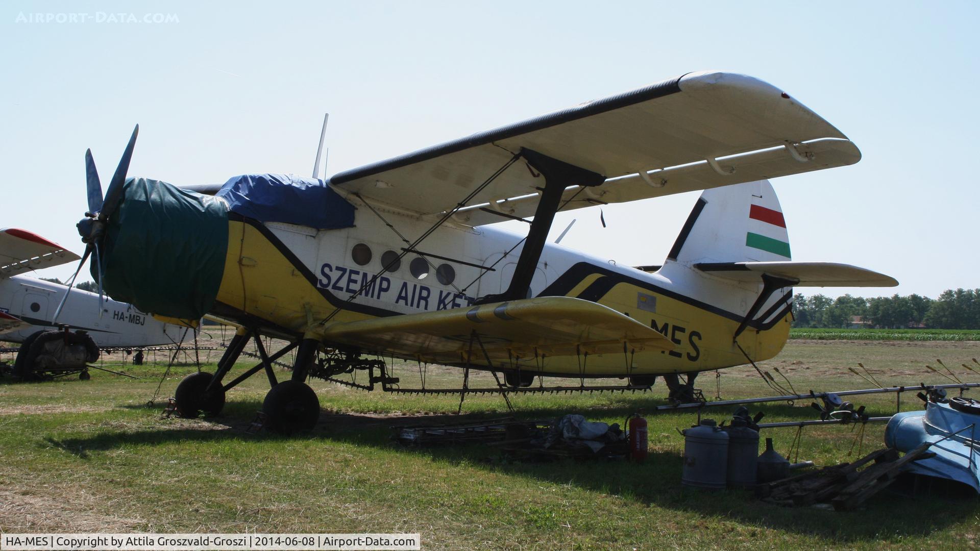 HA-MES, 1981 PZL-Mielec AN-2R C/N 1G194-28, Nagyszénás agricultural airport and take-off field, Hungary