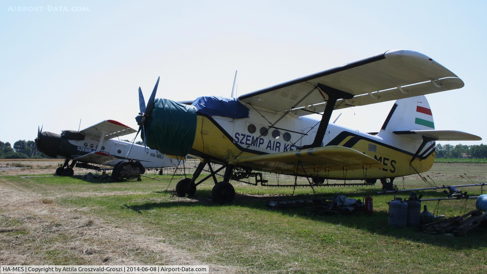 HA-MES, 1981 PZL-Mielec AN-2R C/N 1G194-28, Nagyszénás agricultural airport and take-off field, Hungary