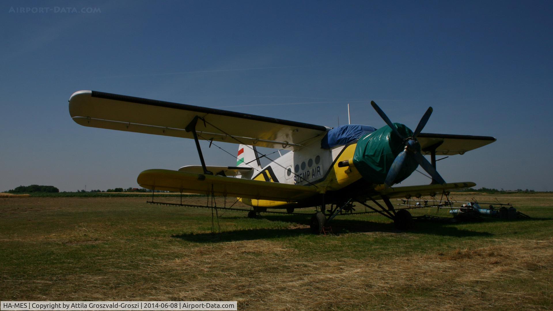 HA-MES, 1981 PZL-Mielec AN-2R C/N 1G194-28, Nagyszénás agricultural airport and take-off field, Hungary