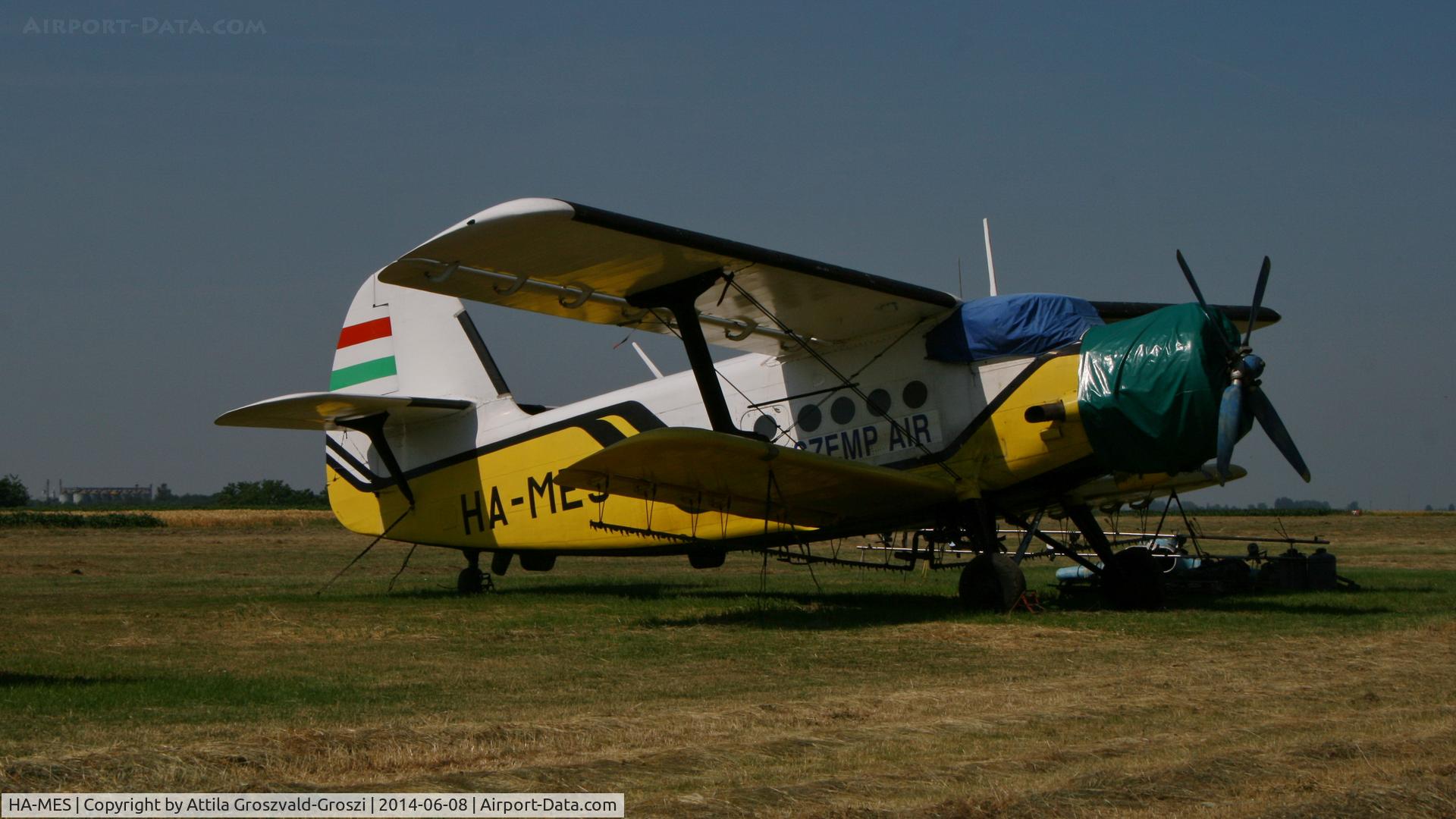 HA-MES, 1981 PZL-Mielec AN-2R C/N 1G194-28, Nagyszénás agricultural airport and take-off field, Hungary