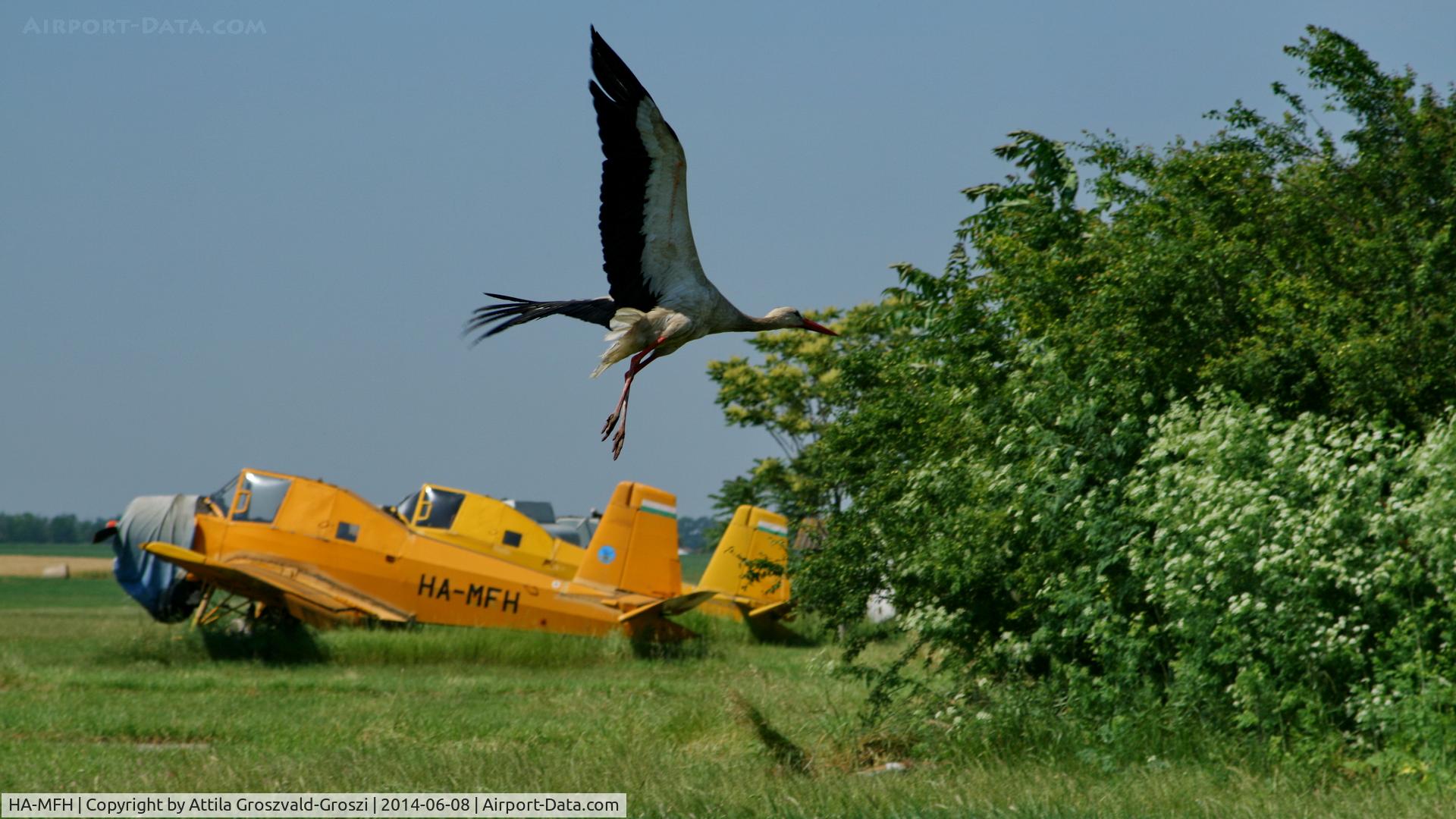 HA-MFH, Let Z-37P Cmelak C/N 17-07, Telekgerendás agricultural airport and take-off field. Hungary
