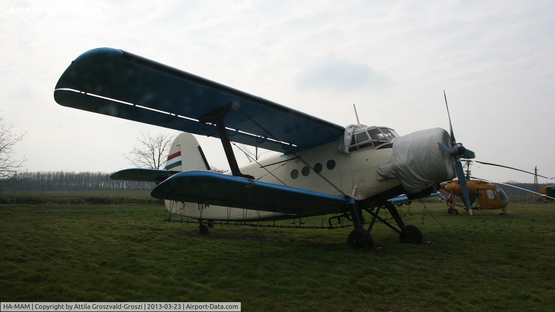 HA-MAM, 1984 PZL-Mielec An-2R C/N 1G208-44, Kadarkút Airfield, Hungary