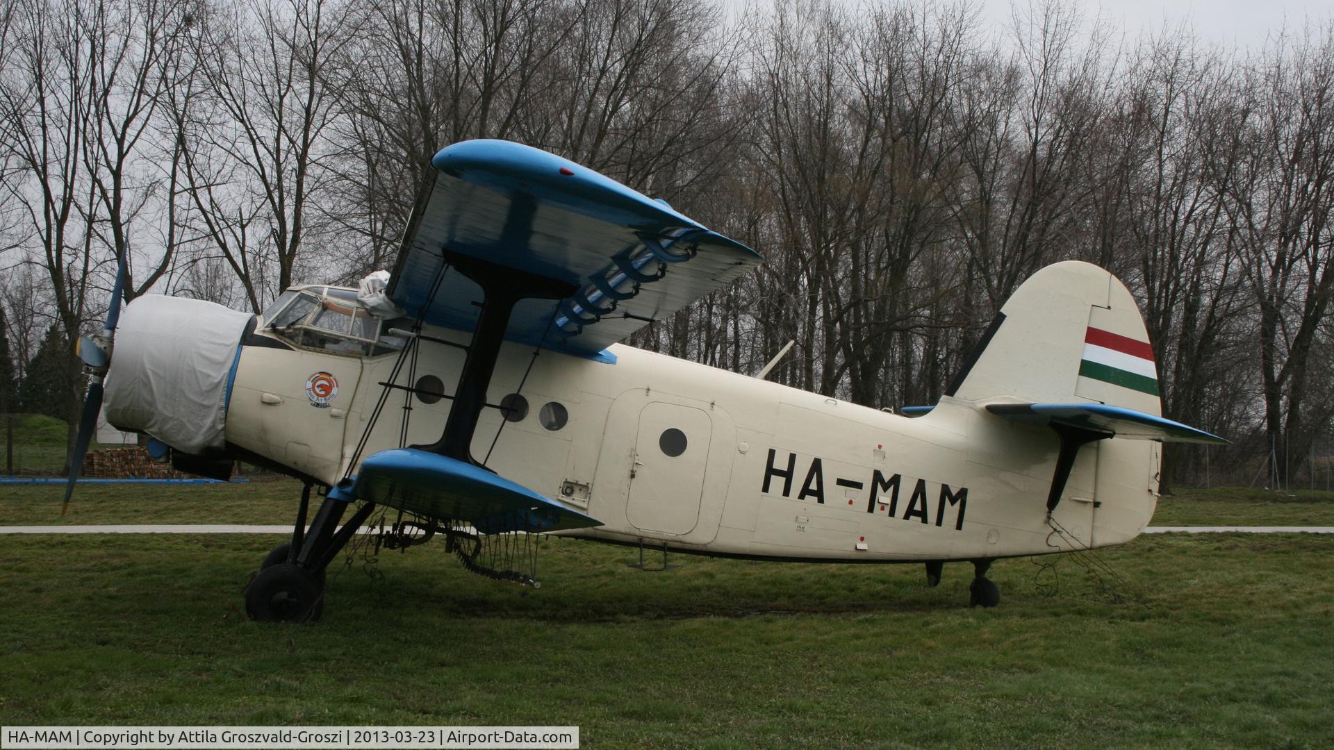 HA-MAM, 1984 PZL-Mielec An-2R C/N 1G208-44, Kadarkút Airfield, Hungary