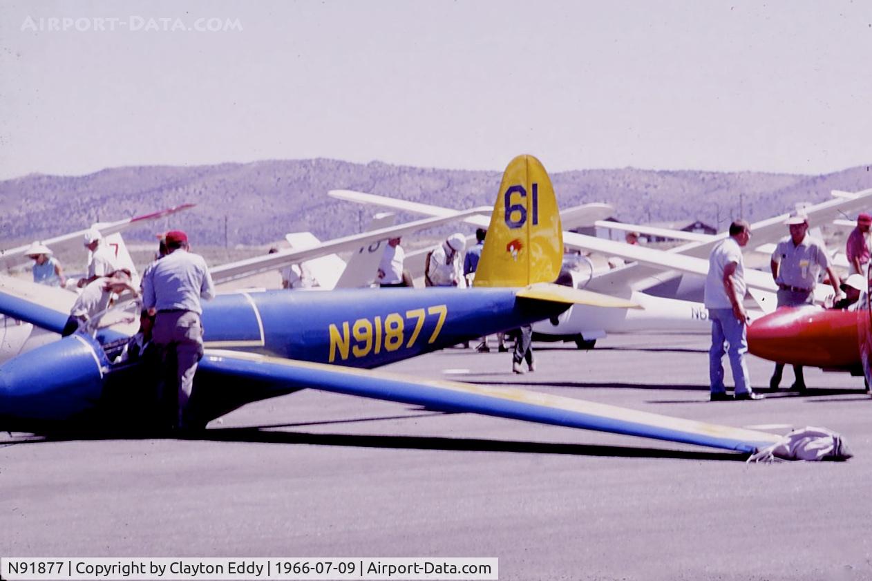 N91877, 1950 Schweizer SGS 1-23 C/N 12, 1966