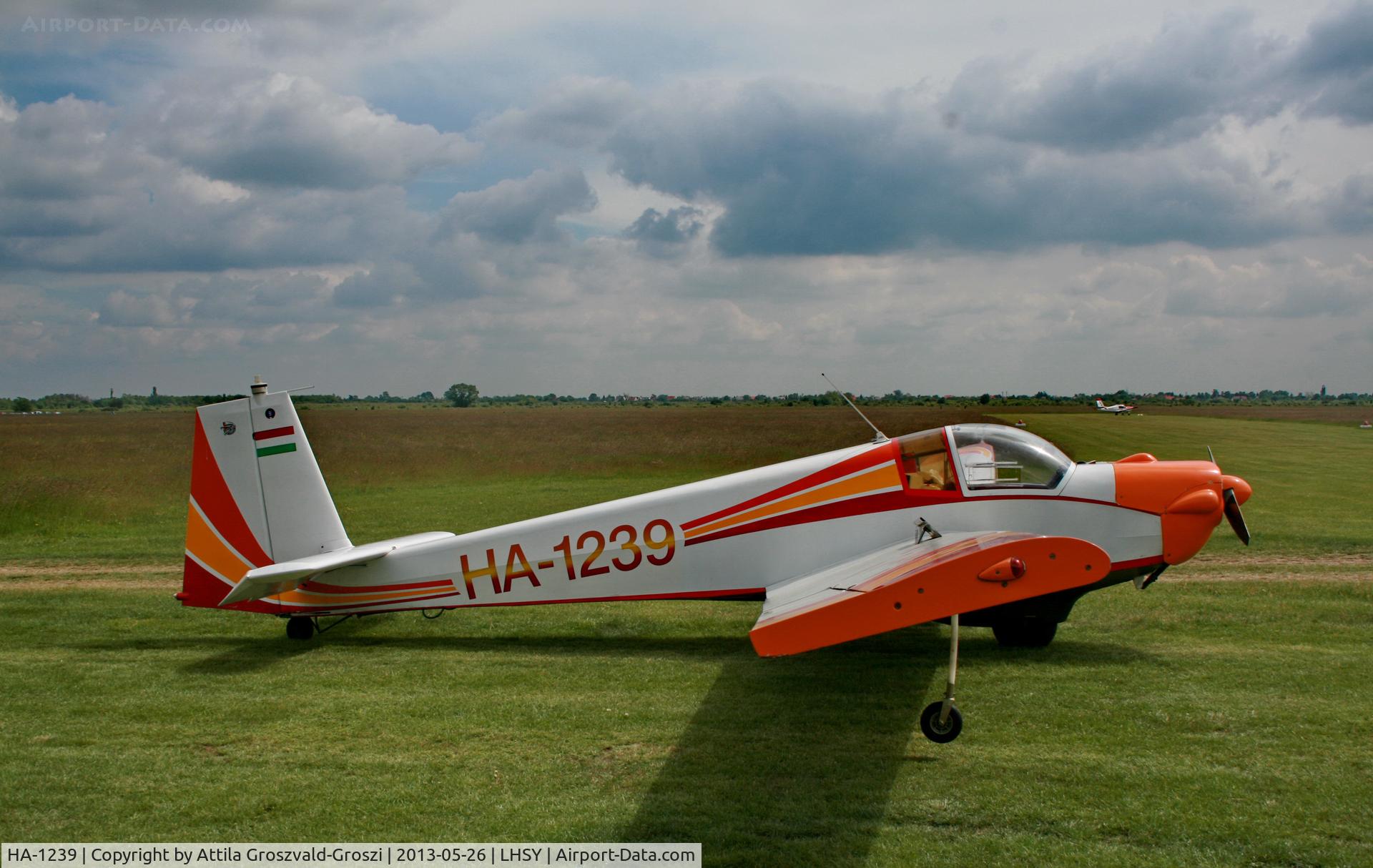 HA-1239, 1972 Scheibe SF-25D Falke C/N 4838D, Szombathely Airport, Hungary