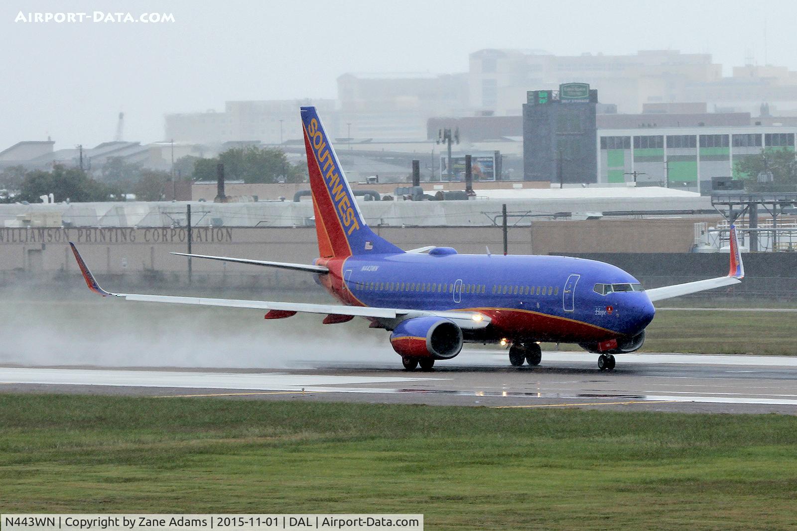 N443WN, 2003 Boeing 737-7H4 C/N 29838, Dallas Love Field