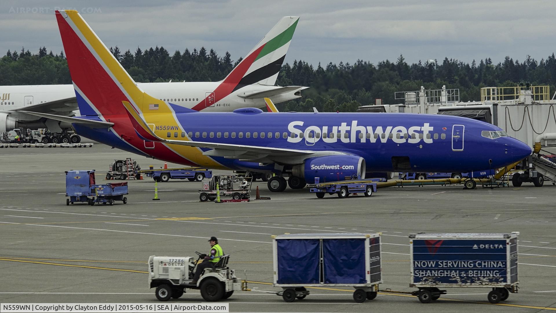 N559WN, 2002 Boeing 737-73V C/N 30249, SEA 2015