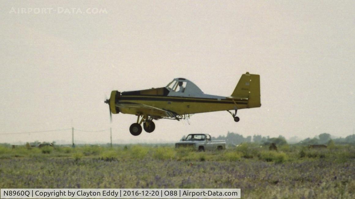 N8960Q, 1978 Ayres S-2R C/N 2450R, Landing old Rio Vista Airport with bad gear. 1980's