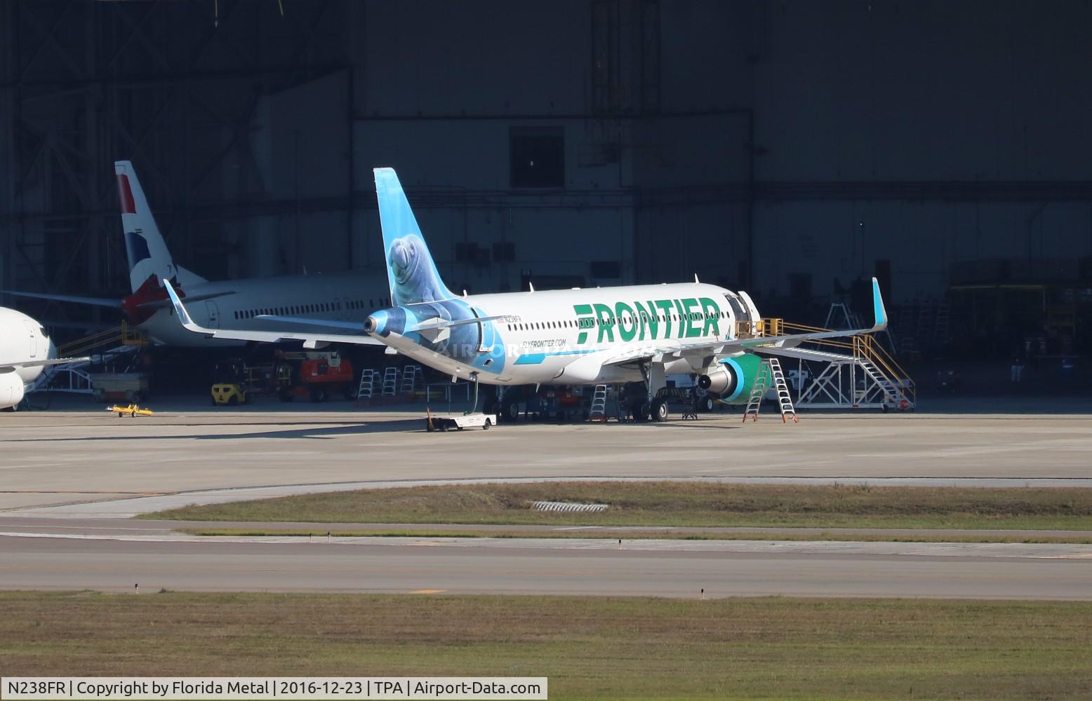 N238FR, 2016 Airbus A320-214 C/N 7458, Hugh the Manatee just delivered the day before this pic was taken.  Aircraft not in service yet at time of this posting, getting prepped at Tampa