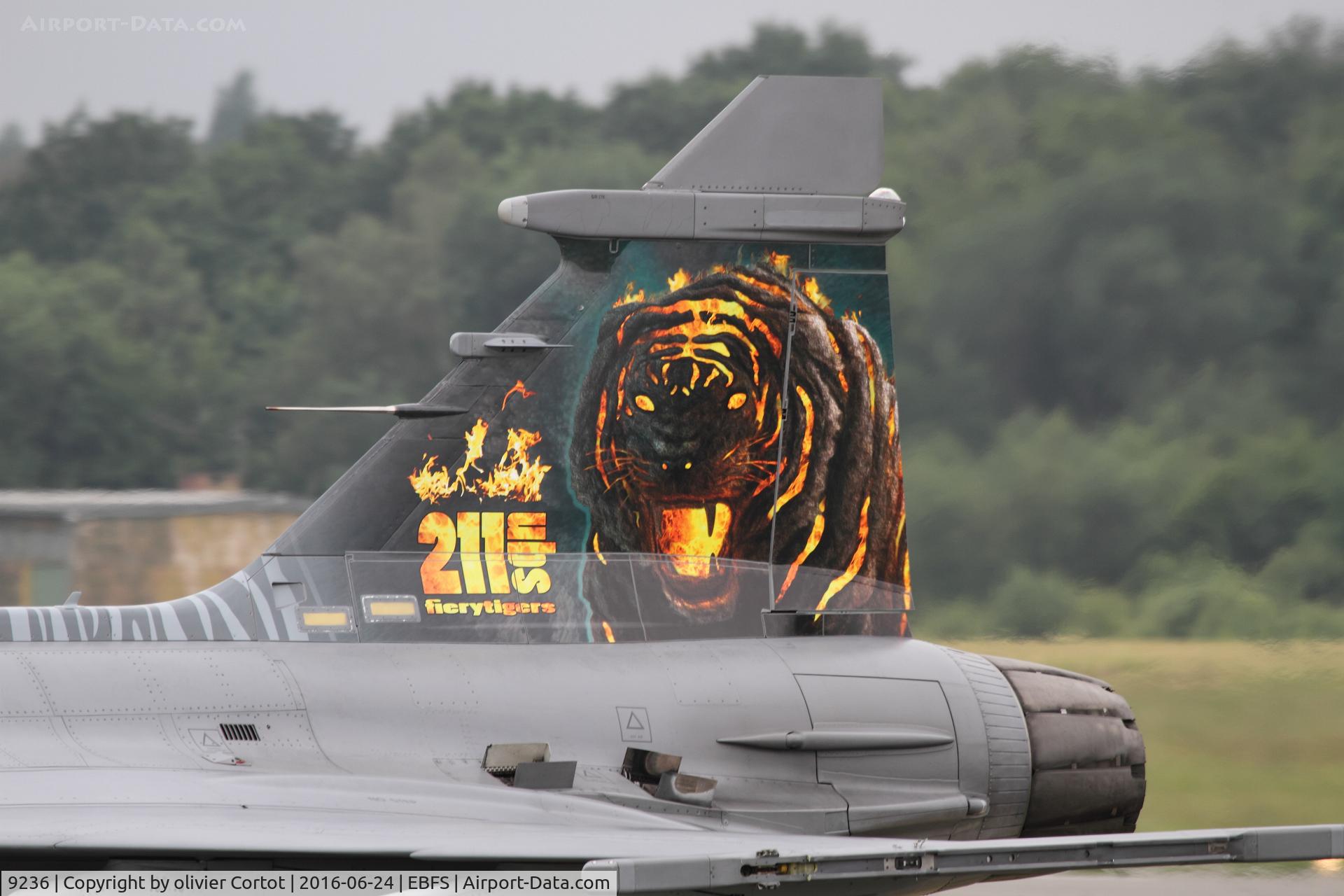 9236, Saab JAS-39C Gripen C/N 39236, tail art detail