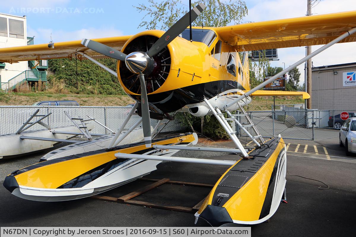 N67DN, 1955 De Havilland Canada DHC-2 Beaver Mk.I C/N 799, kenmore air base