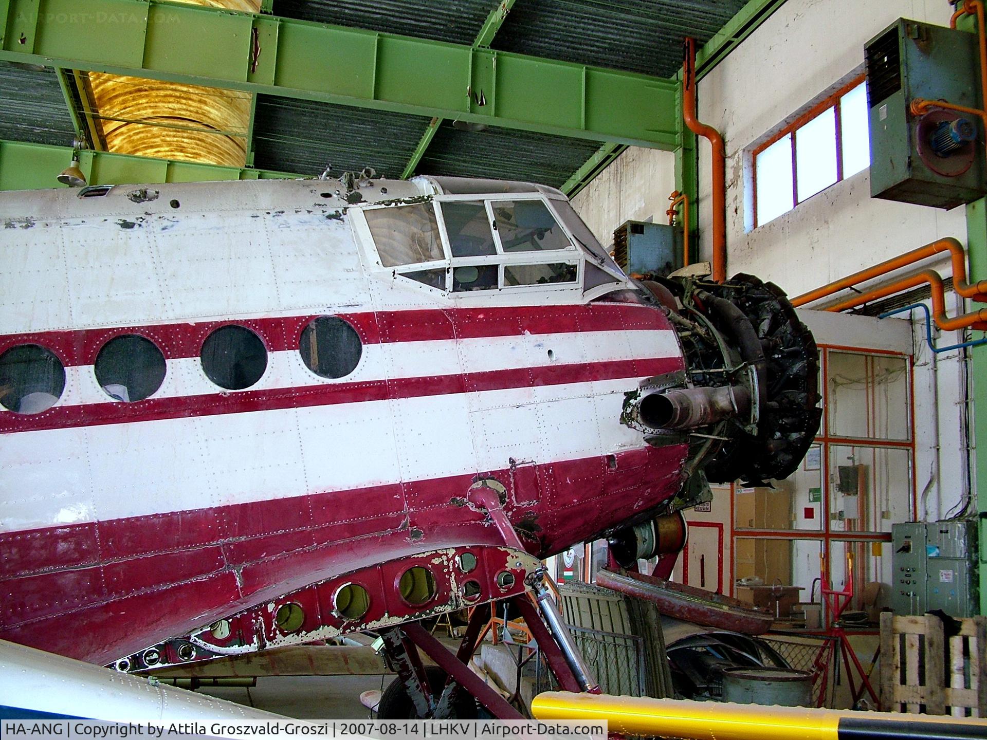 HA-ANG, 1972 Antonov An-2P C/N 1G132-53, Kaposújlak Airport, Hungary-During repairs, painting