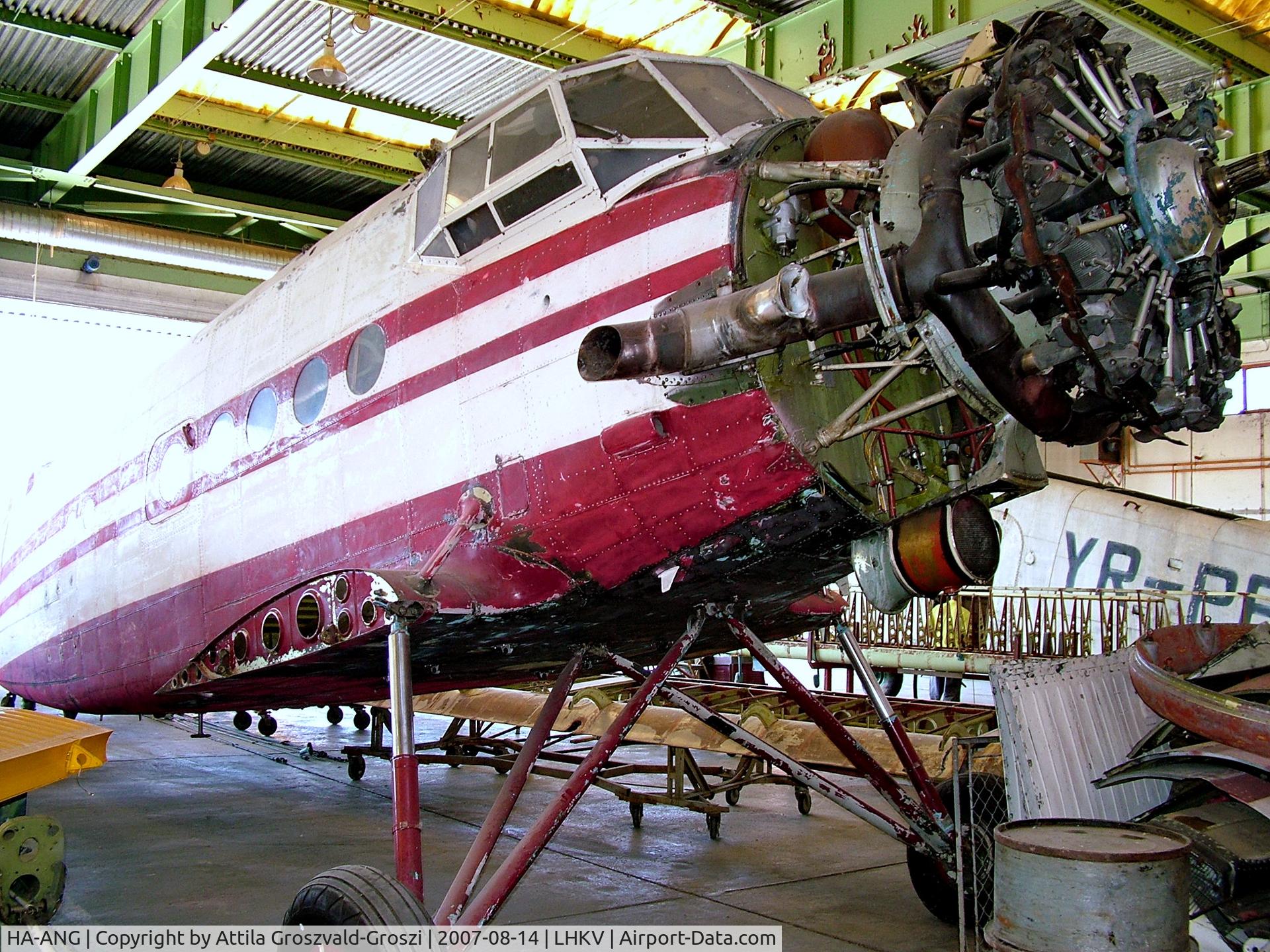 HA-ANG, 1972 Antonov An-2P C/N 1G132-53, Kaposújlak Airport, Hungary-During repairs, painting
