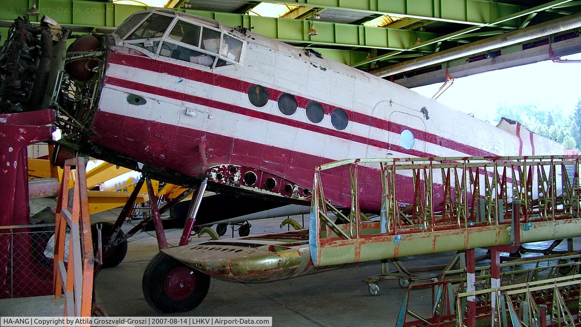 HA-ANG, 1972 Antonov An-2P C/N 1G132-53, Kaposújlak Airport, Hungary-During repairs, painting