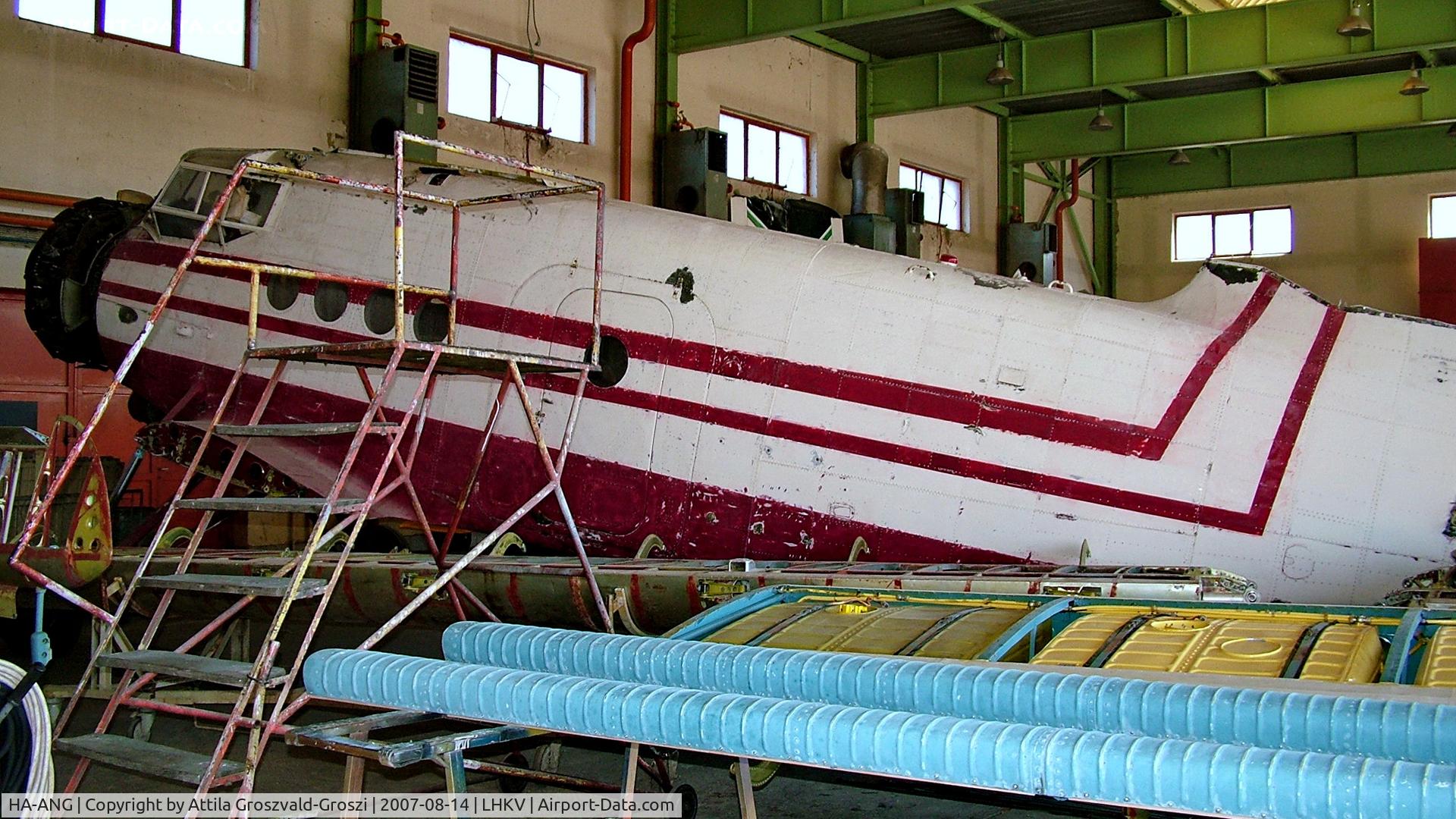 HA-ANG, 1972 Antonov An-2P C/N 1G132-53, Kaposújlak Airport, Hungary-During repairs, painting