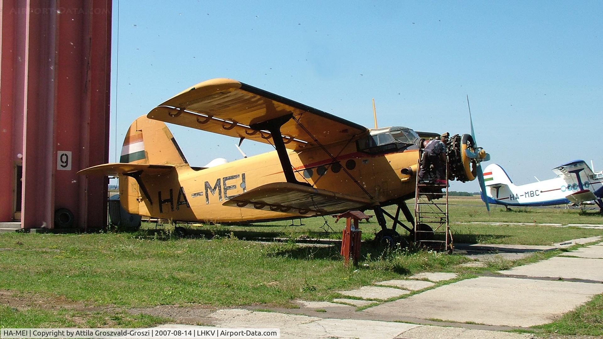 HA-MEI, 1980 PZL-Mielec AN-2R C/N 1G190-18, Kaposújlak Airport, Hungary