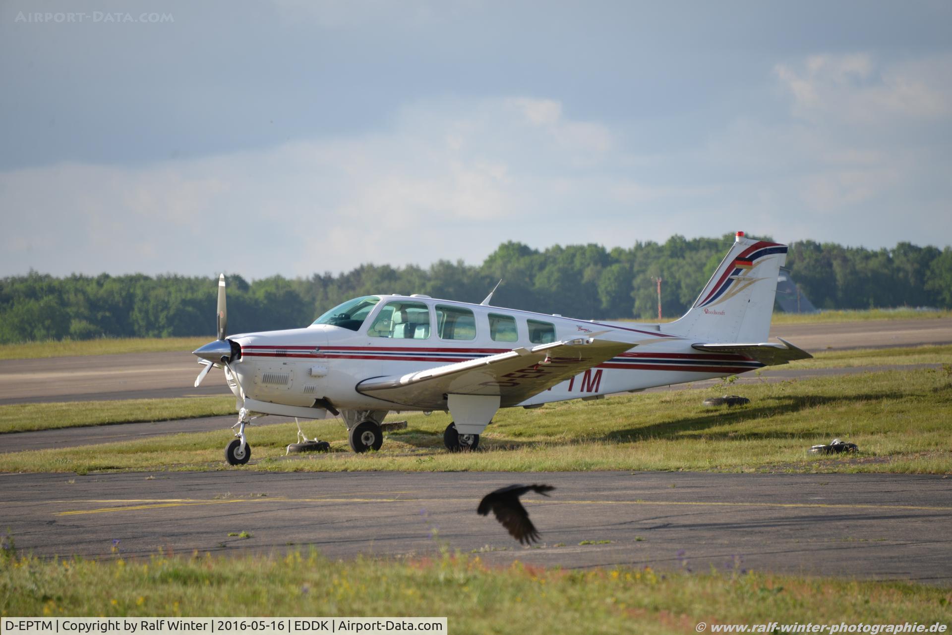 D-EPTM, 1991 Beech B36TC Bonanza Bonanza C/N EA-513, Beech B36TC Bonanza - Privat - EA-513 - D-EPTM - 16.05.2016 - CGN