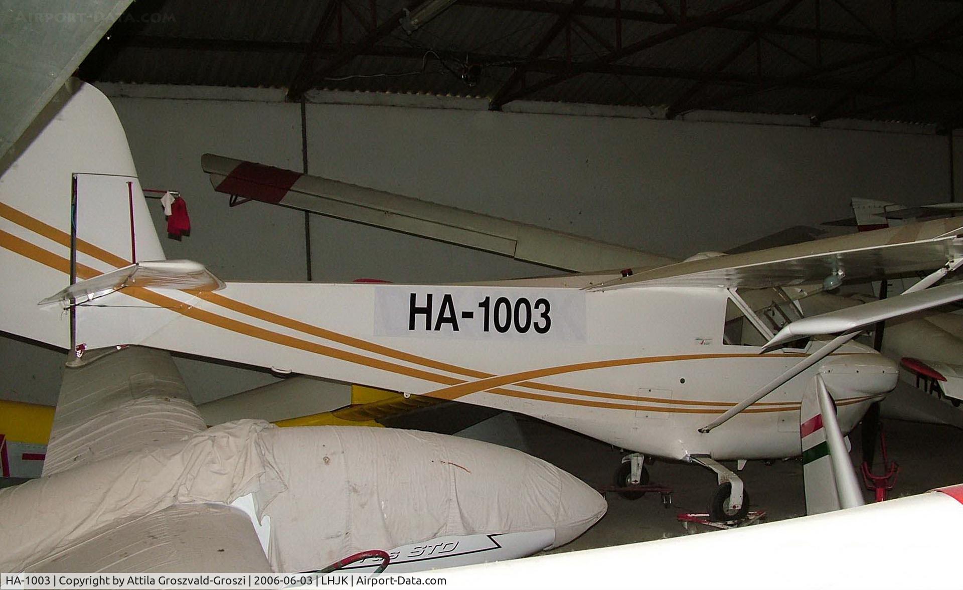 HA-1003, 1955 Raab Doppelraab-Hankur 1 C/N 1051-02, Jakabszállás Airport, Hungary