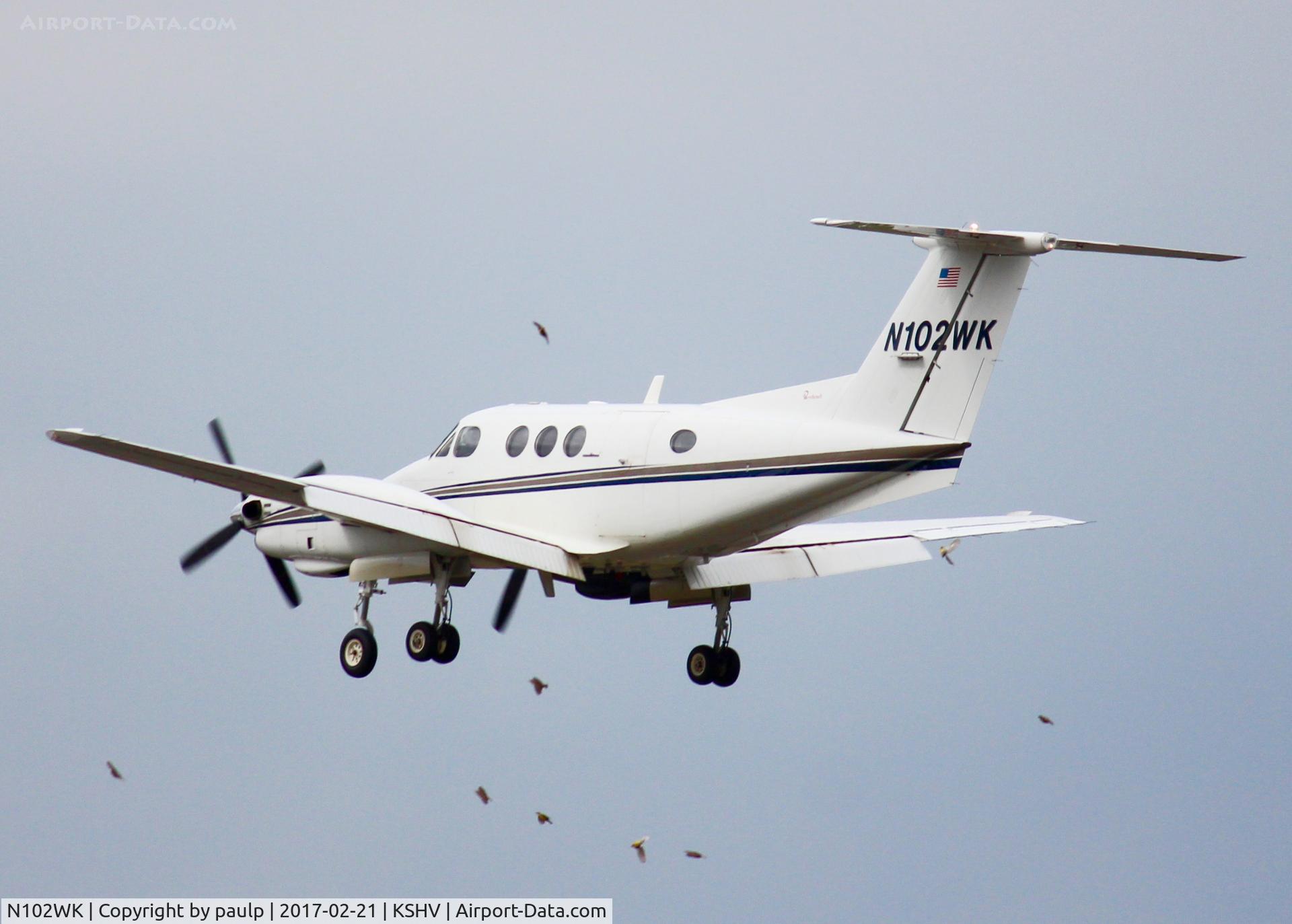 N102WK, 1980 Beech F90 King Air C/N LA-36, At Shreveport Regional. My first bird strike. I saw the bird at the bottom fall to the ground. Runway 32.