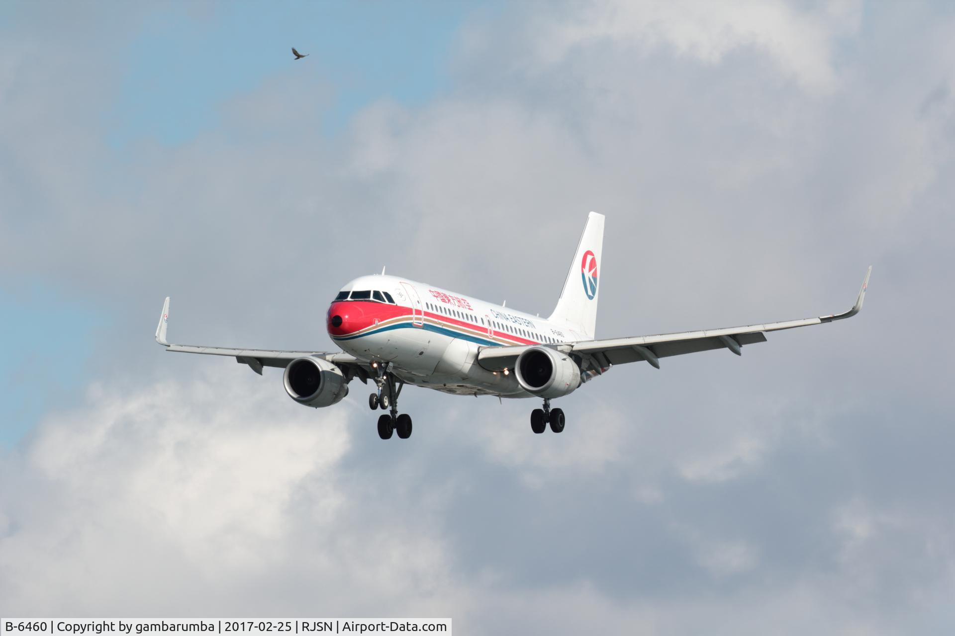 B-6460, 2014 Airbus A319-115 C/N 6144, B-6406