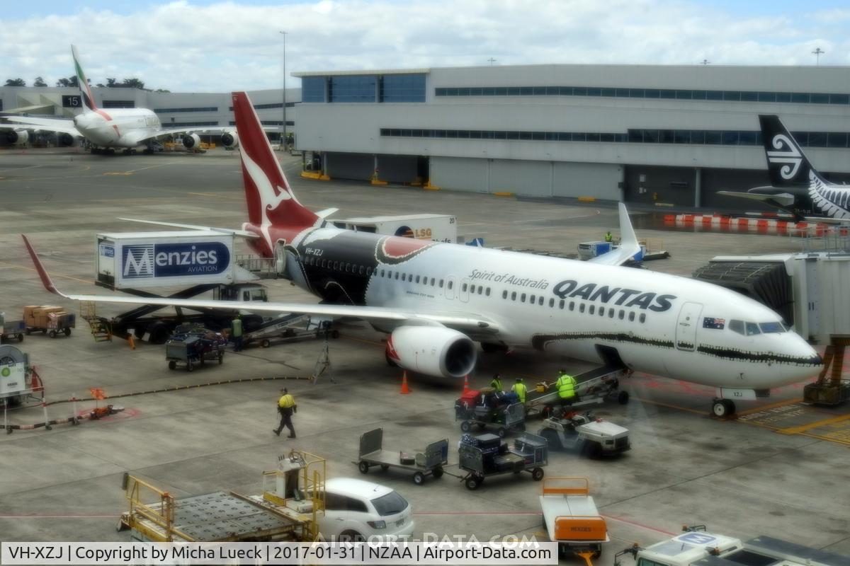 VH-XZJ, 2013 Boeing 737-838 C/N 39365, Mendoowoorrji