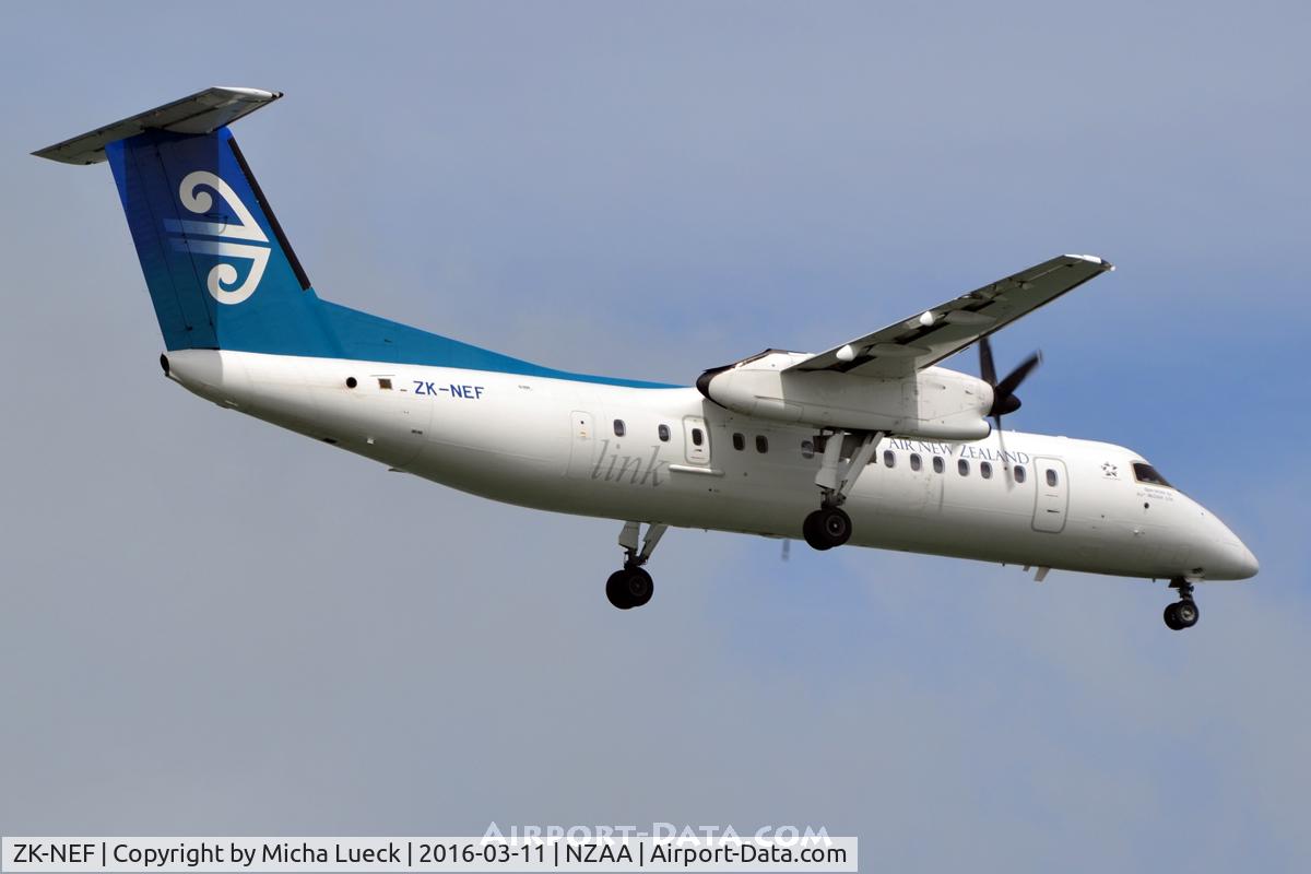 ZK-NEF, 2005 De Havilland Canada DHC-8-311 Dash 8 C/N 620, At Auckland