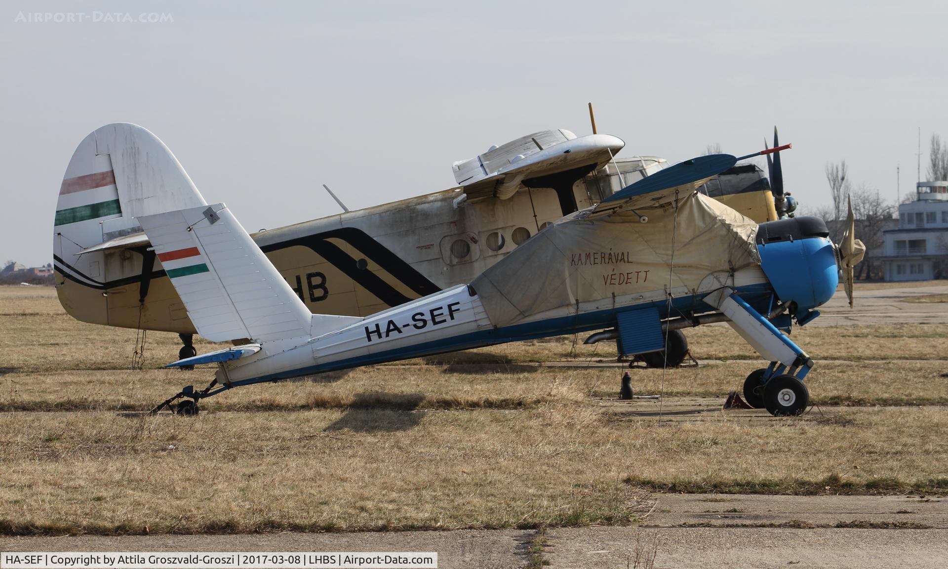 HA-SEF, 1970 PZL-Okecie PZL-104 Wilga C/N 59064, Budaörs Airport, Hungary