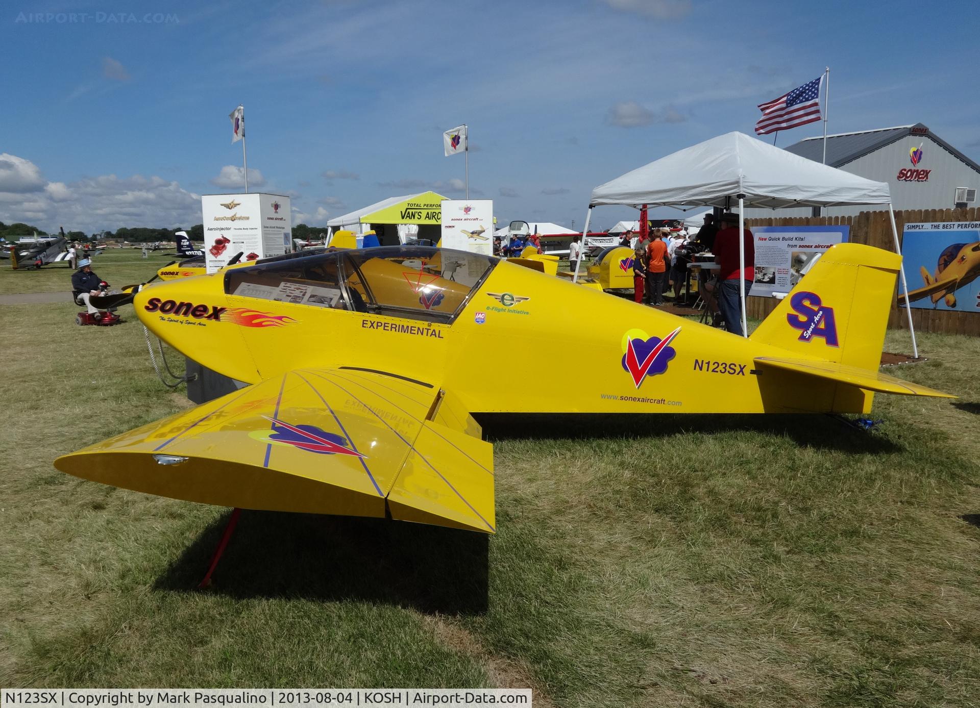 N123SX, Sonex Sonex SA C/N 0008, Sonex