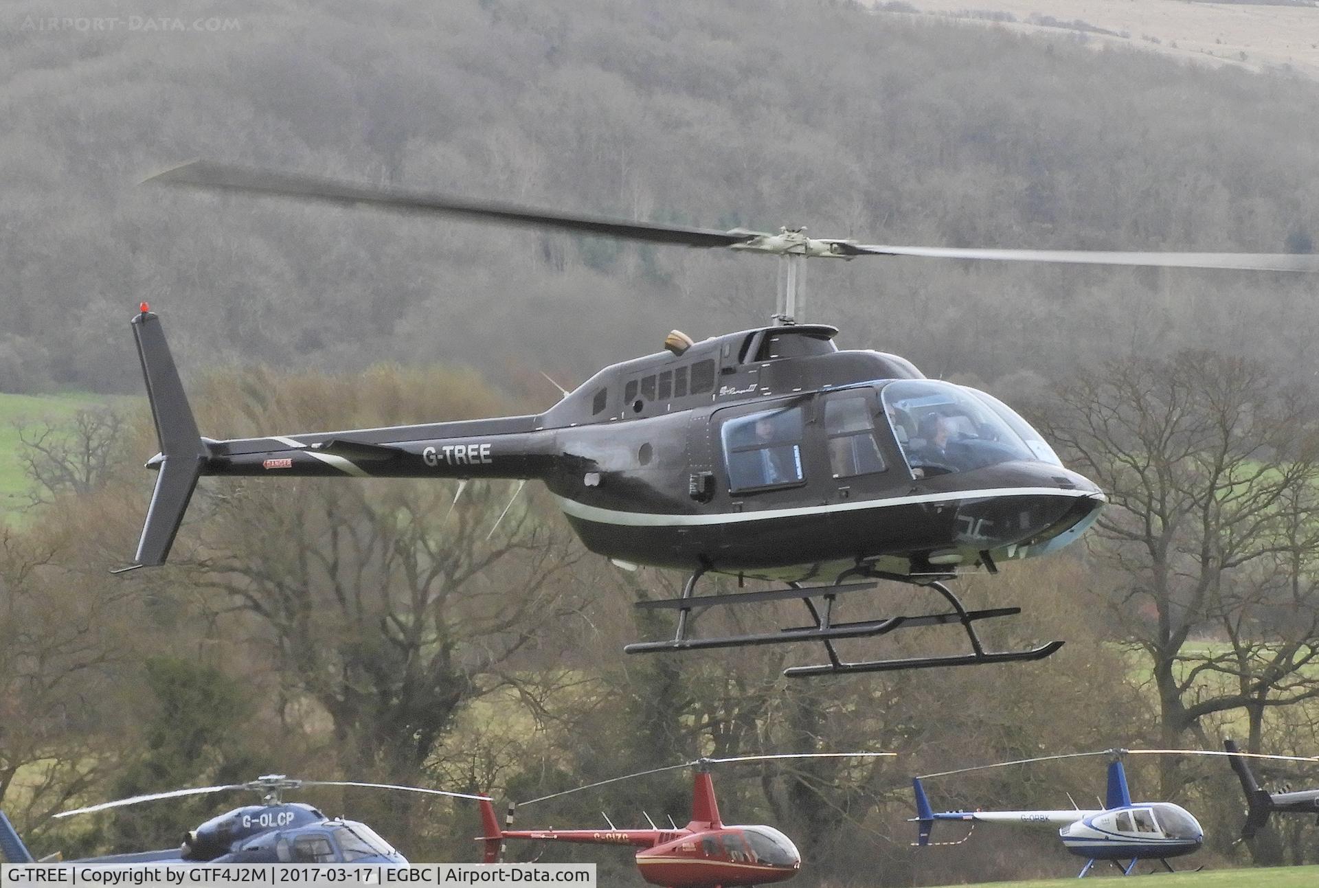 G-TREE, 1979 Bell 206B JetRanger III C/N 2826, G-TREE at Cheltenham 17.3.17