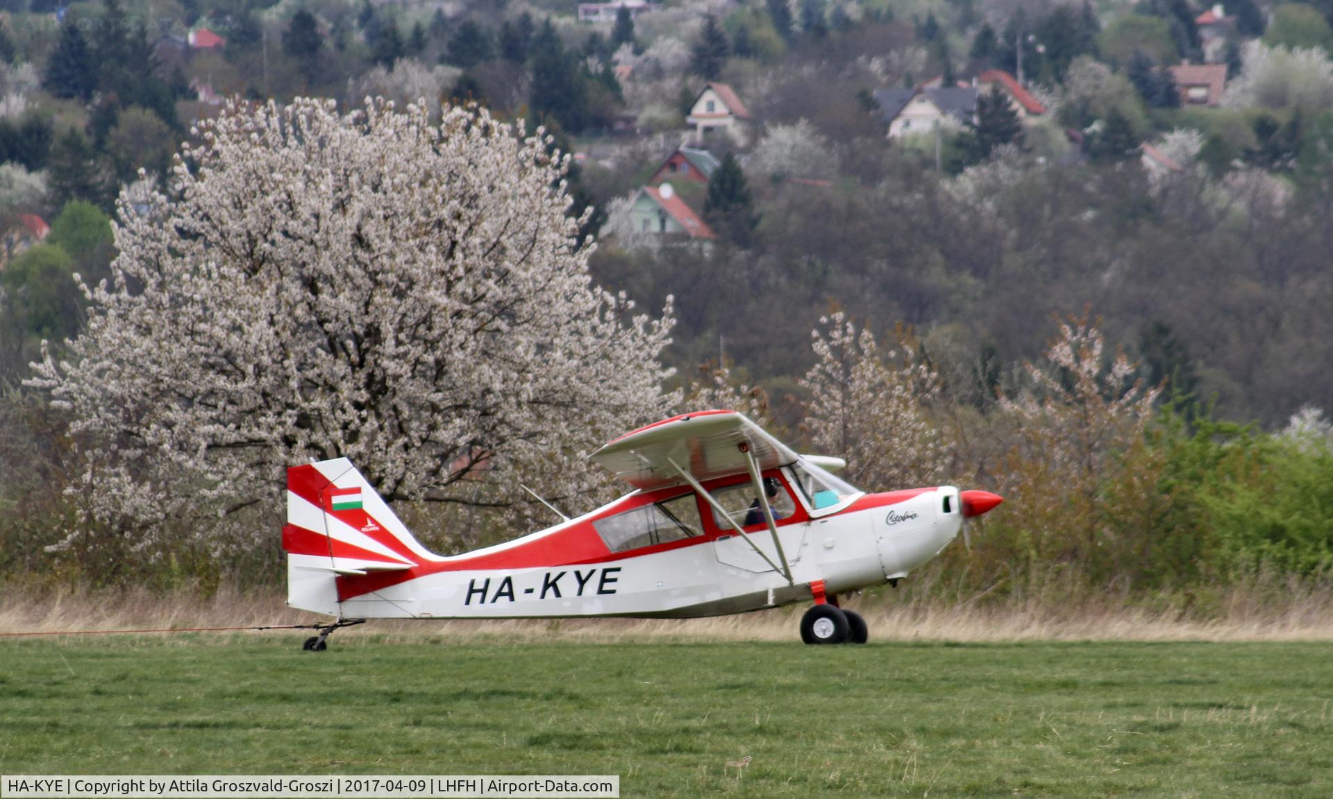 HA-KYE, 1997 Bellanca 7GCBC Citabria C/N 215-70, Farkashegy Airfield, Hungary