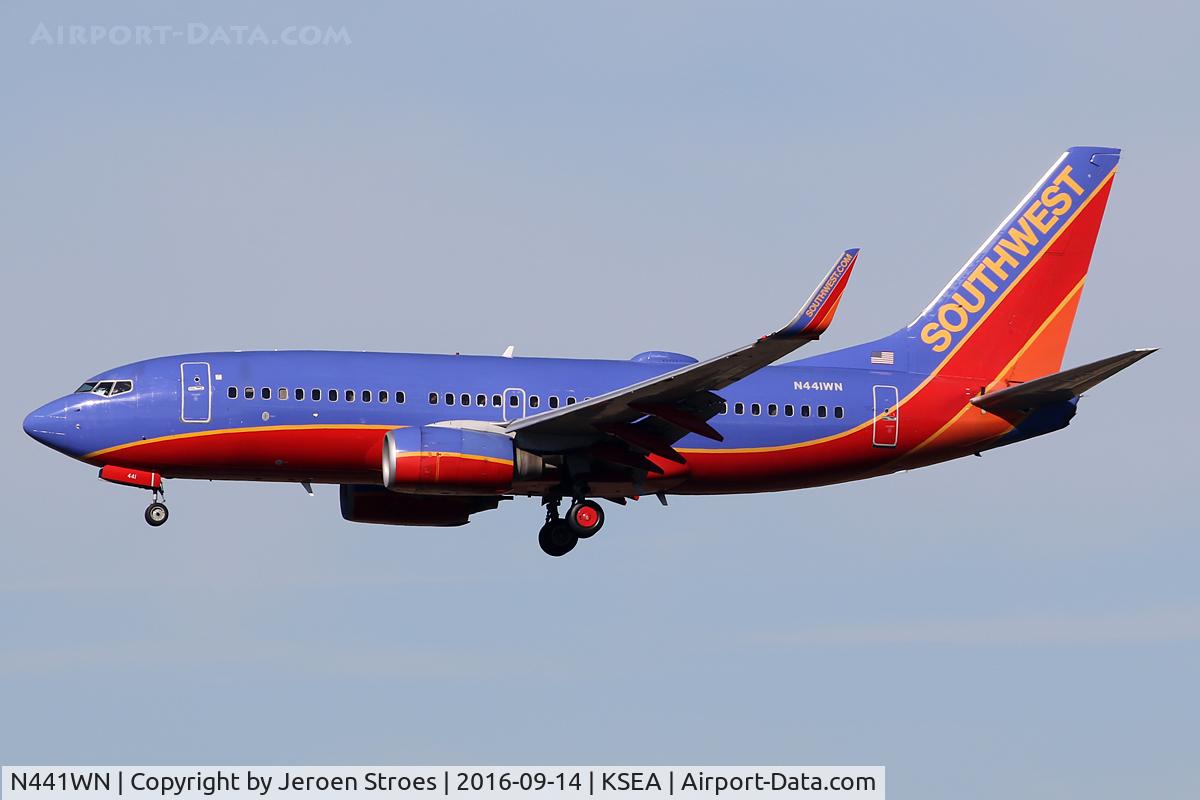 N441WN, 2003 Boeing 737-7H4 C/N 29837, ksea