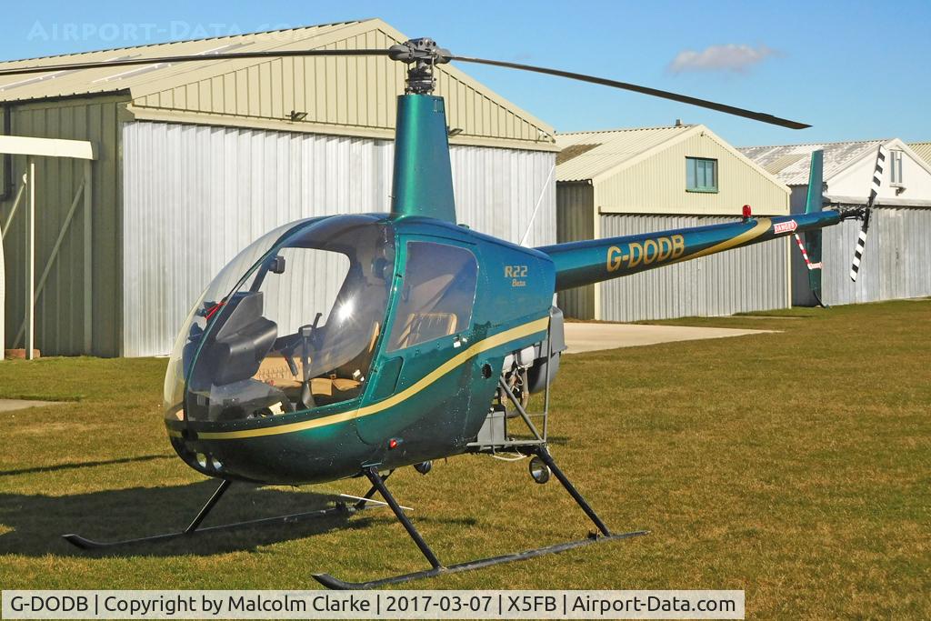 G-DODB, 1988 Robinson R22 Beta C/N 0911, Robinson R22 Beta, Fishburn Airfield UK. march 7th 2017.