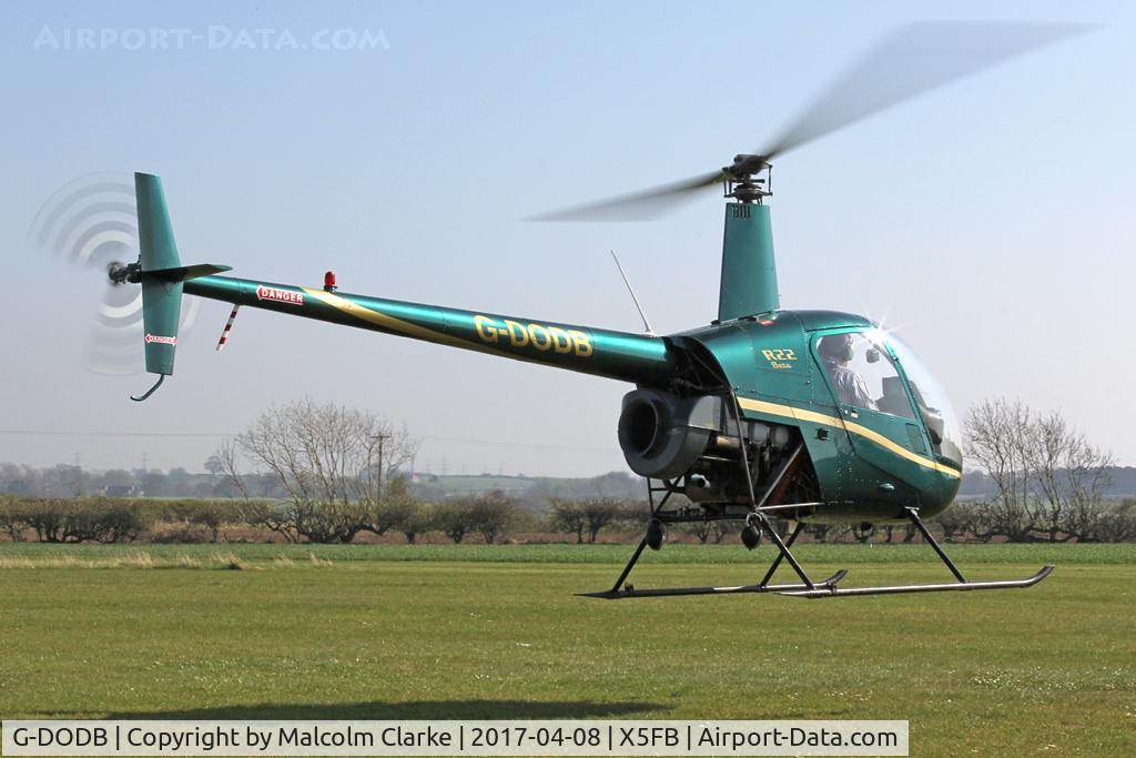 G-DODB, 1988 Robinson R22 Beta C/N 0911, Robinson R22 Beta on lift off from Fishburn Airfield. April 8th 2017.